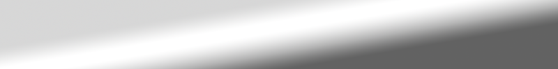White Level Banner.png