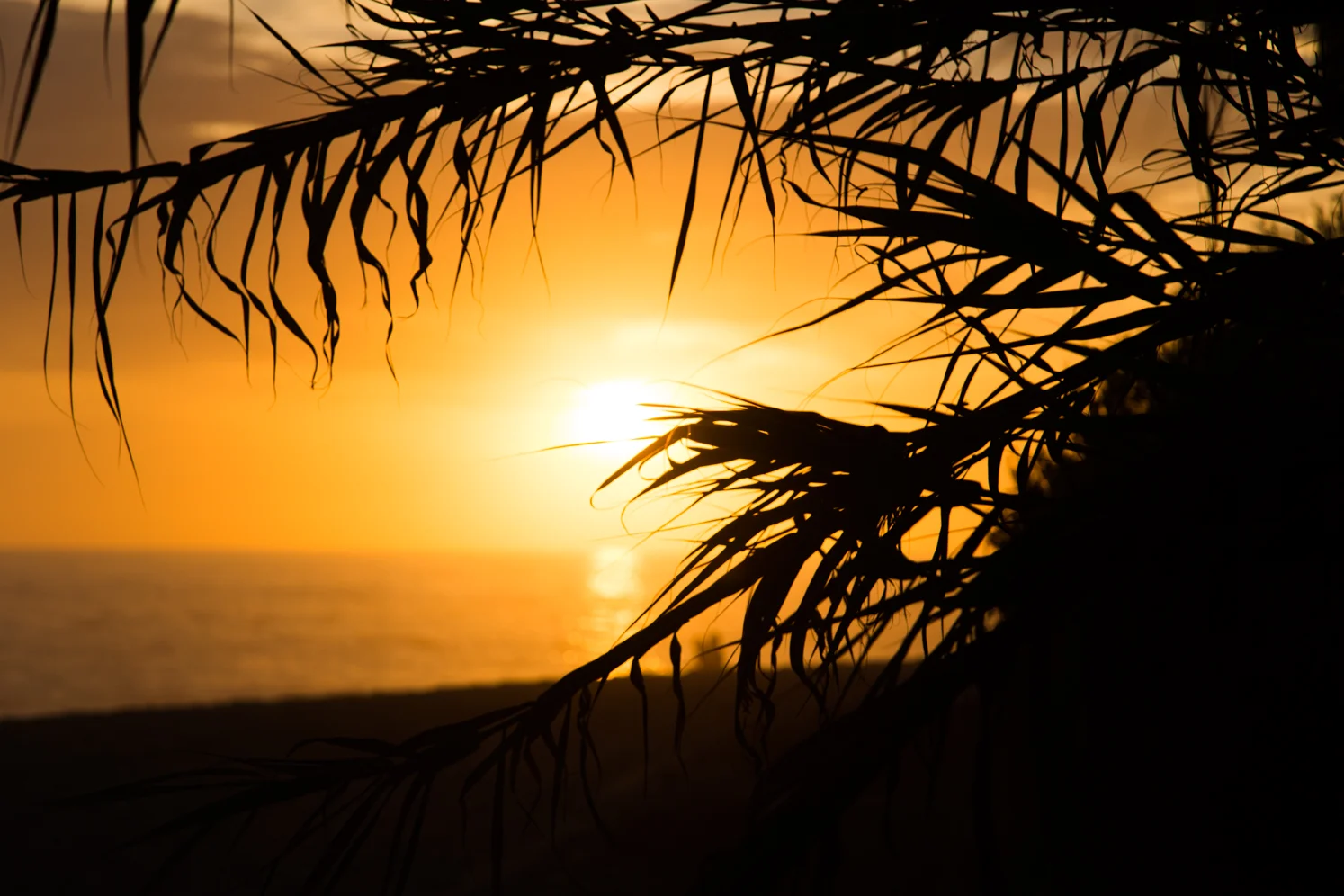 MarielenaPhotographyNature-1.jpg