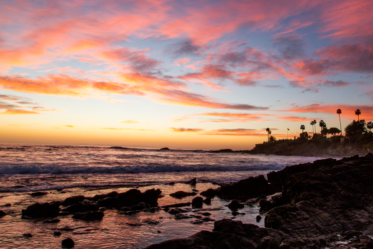 MarielenaPhotographyNature-13.jpg