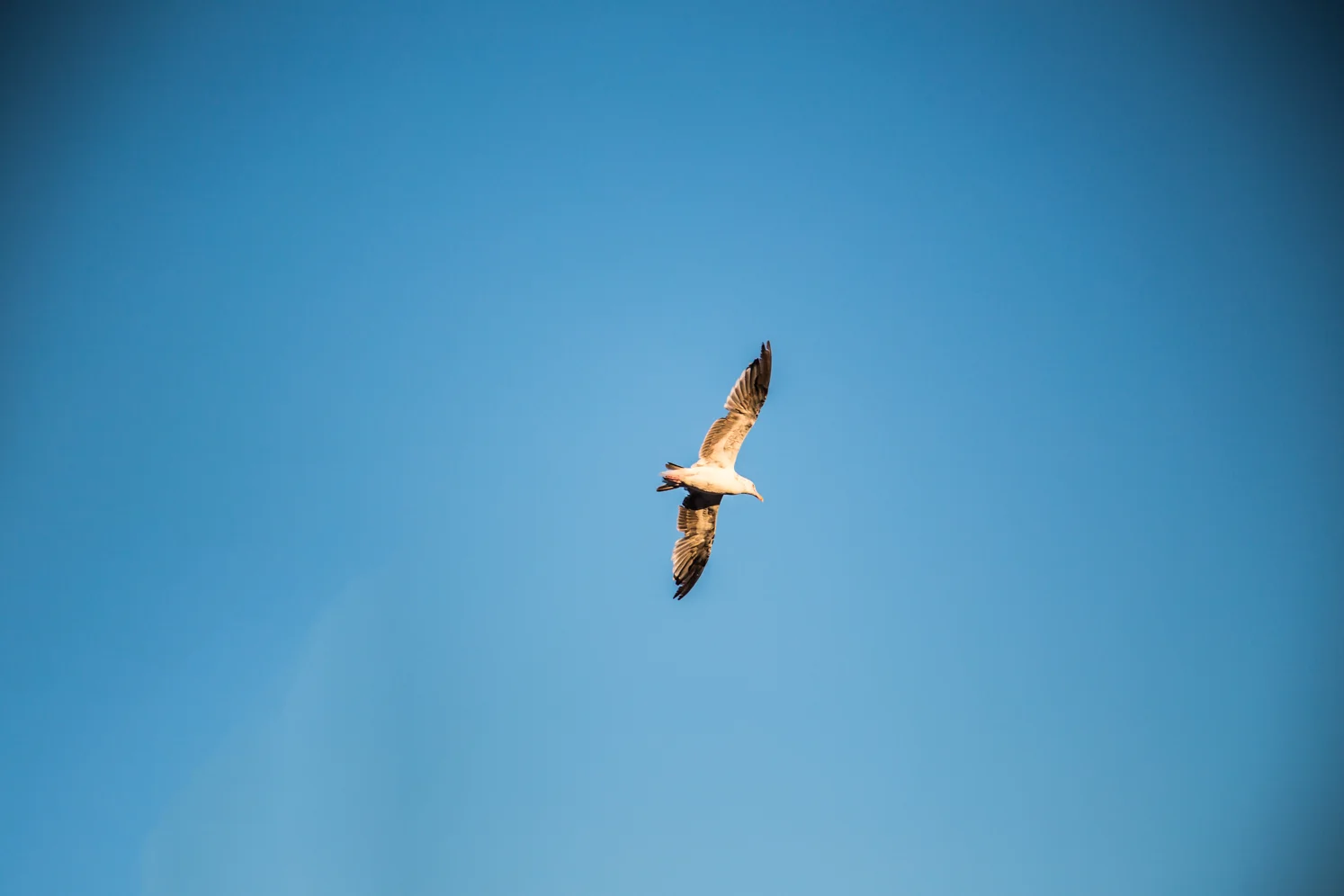 MarielenaPhotographyNature-25.jpg