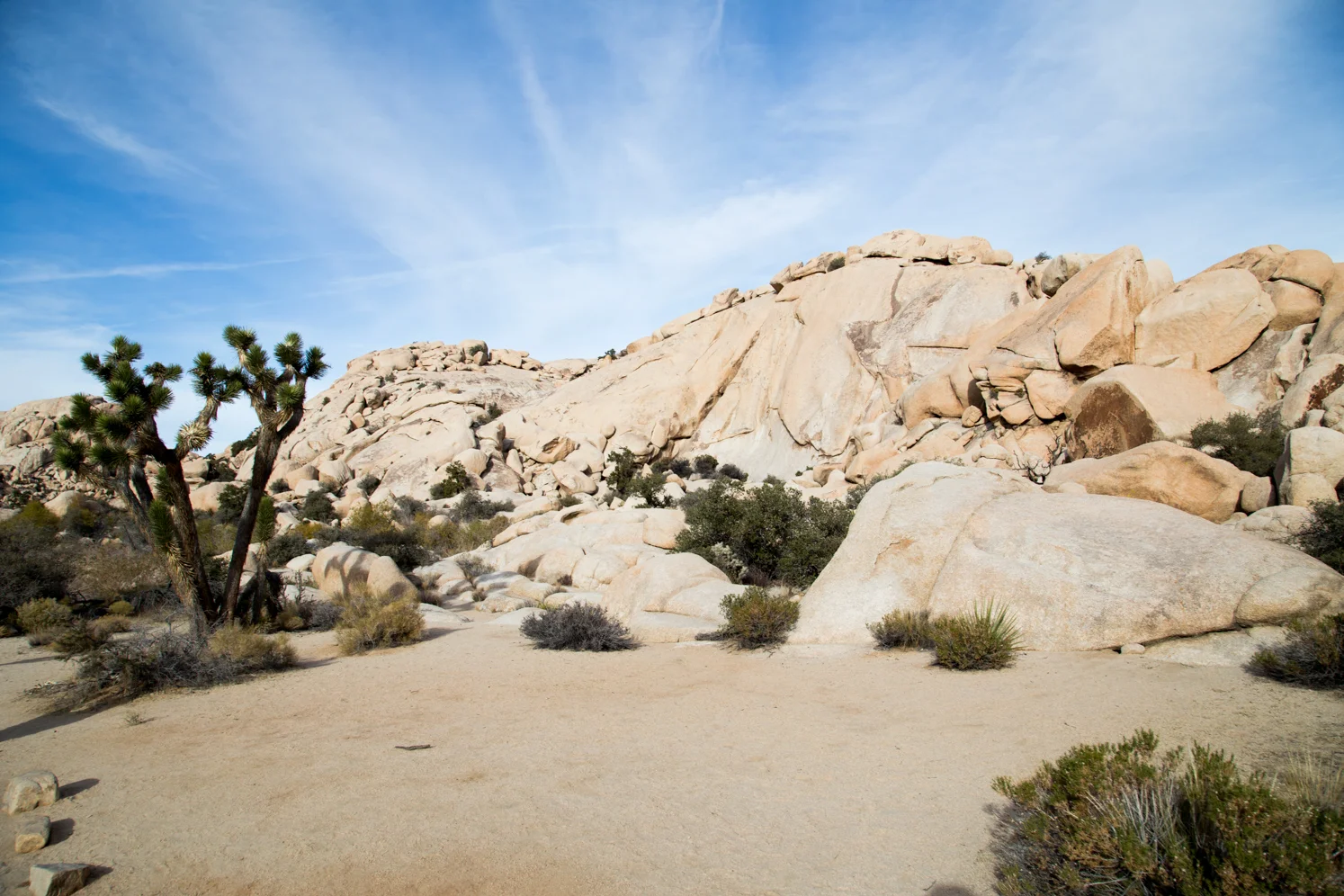 MarielenaPhotographyNature-9.jpg