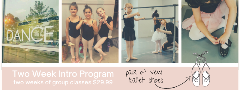 Two Week Intro Program