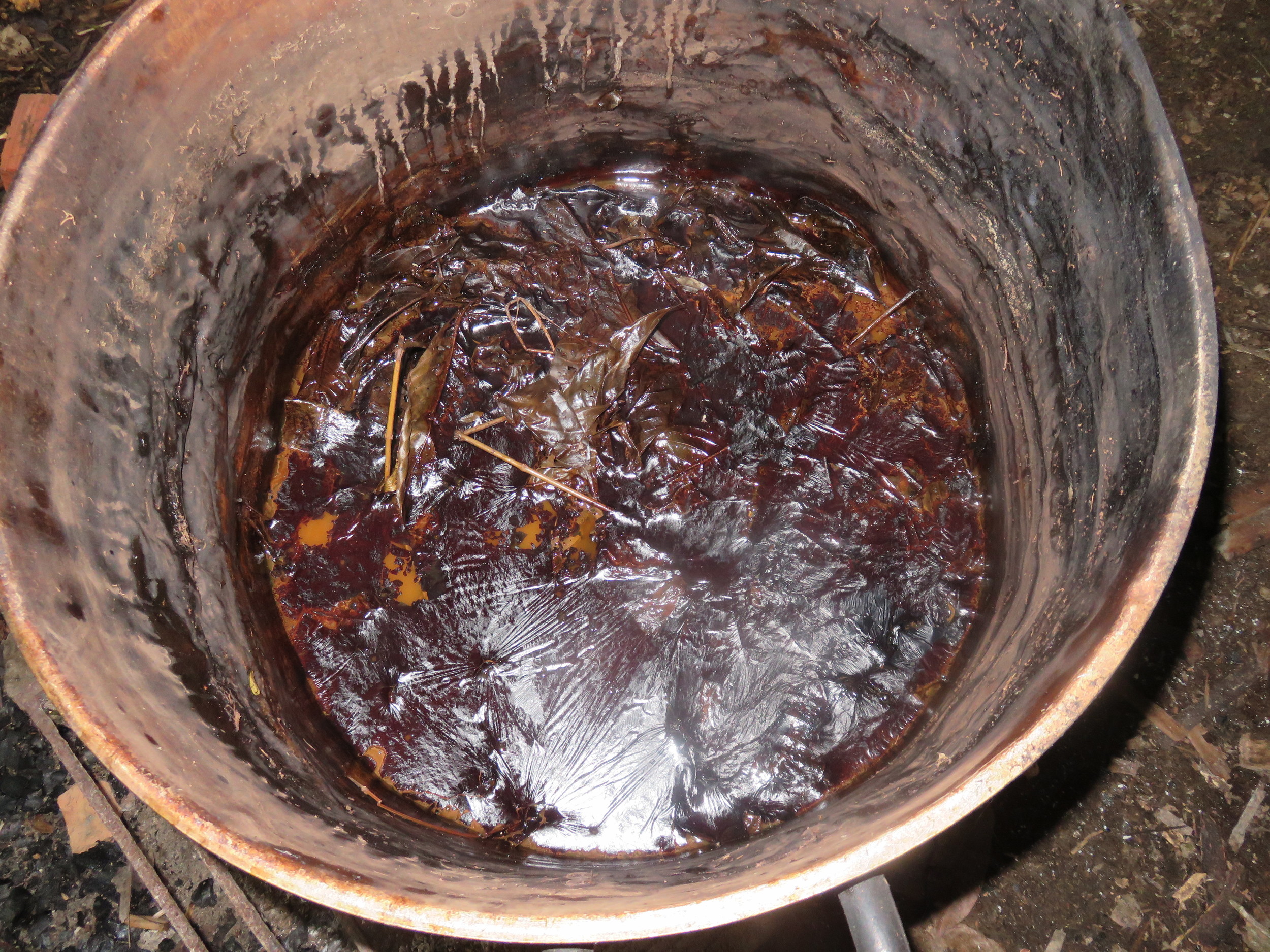 Ayahuasca Brew