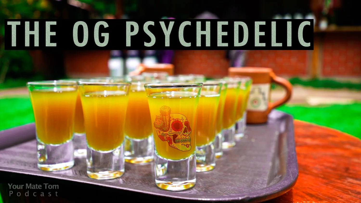 MESCALINE: The World's First Psychedelic w/ Mike Jay #30