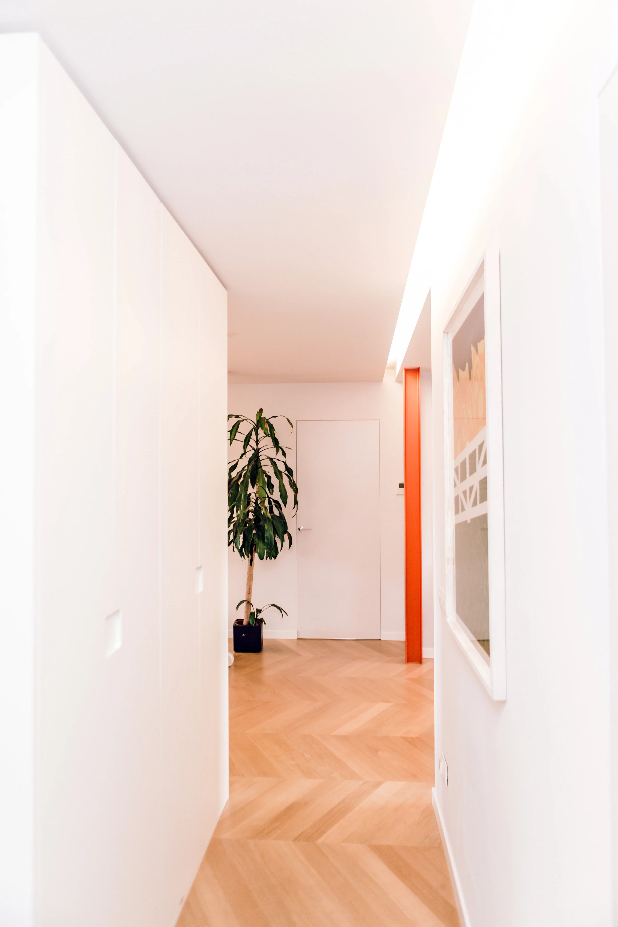 LUX55167.jpg