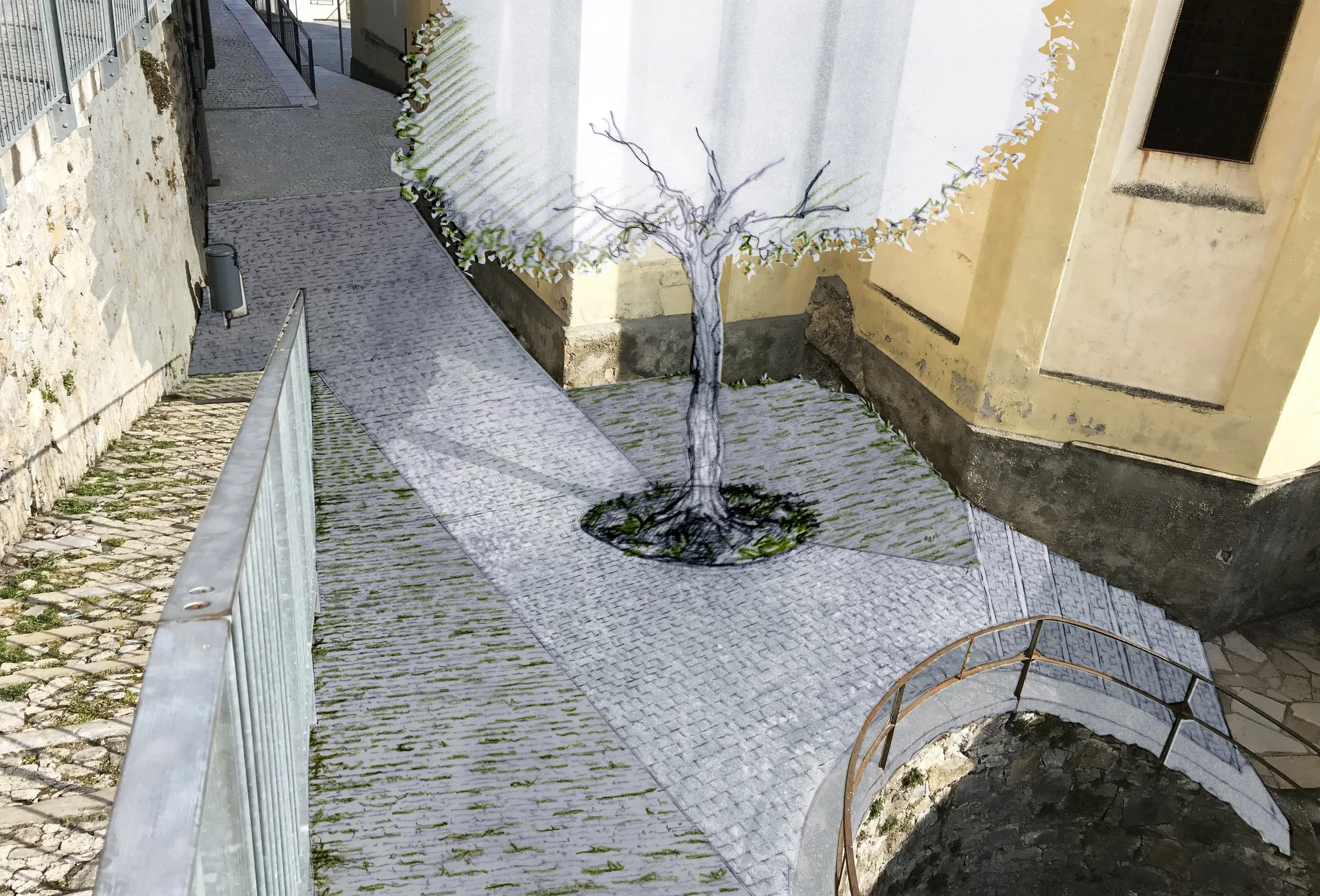 VISTA2.jpg