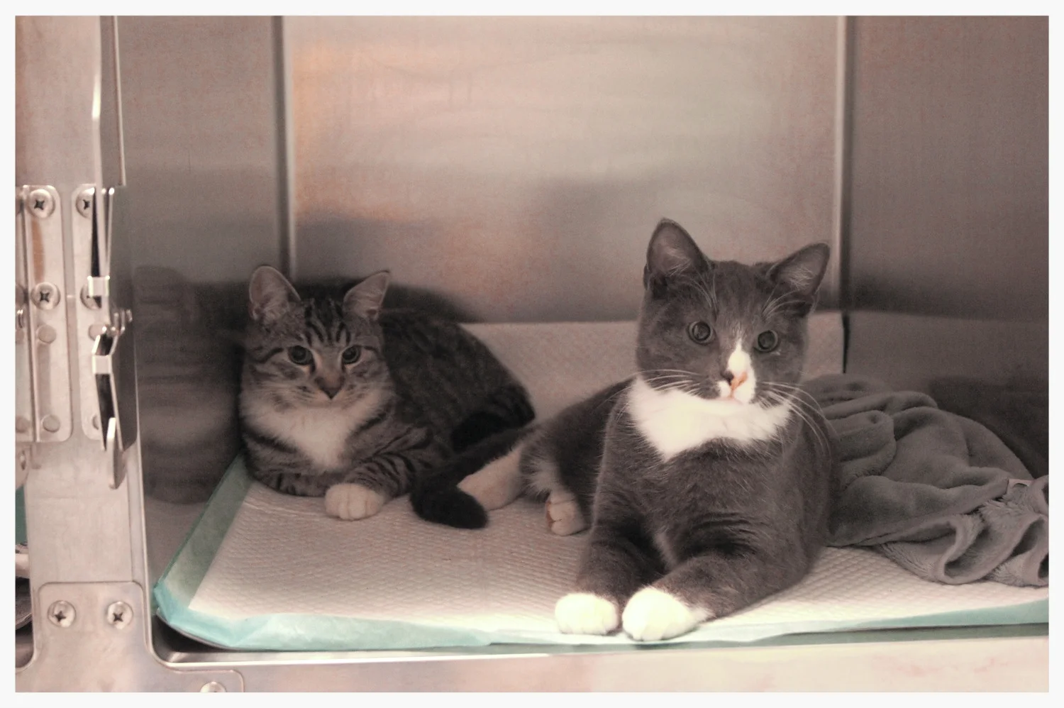 Hos oss er alle fornøyde!