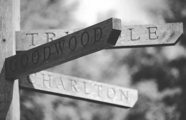 goodwood-2.jpg