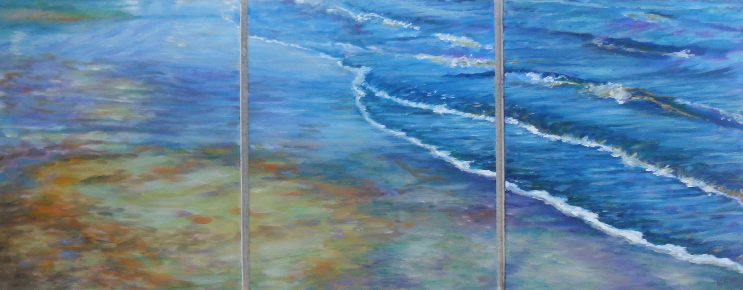 Tidepool, Sold