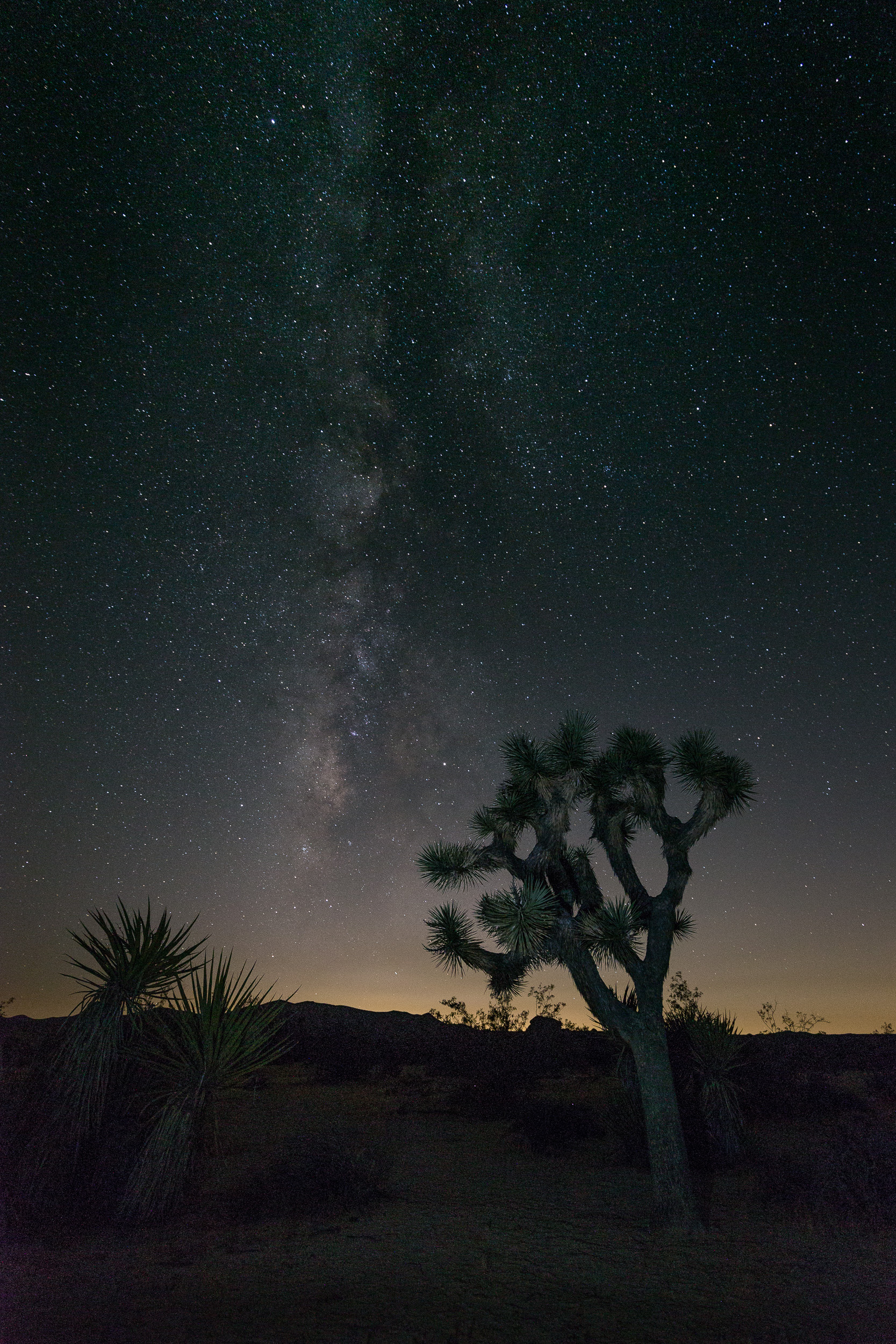 Joshua Tree National Park