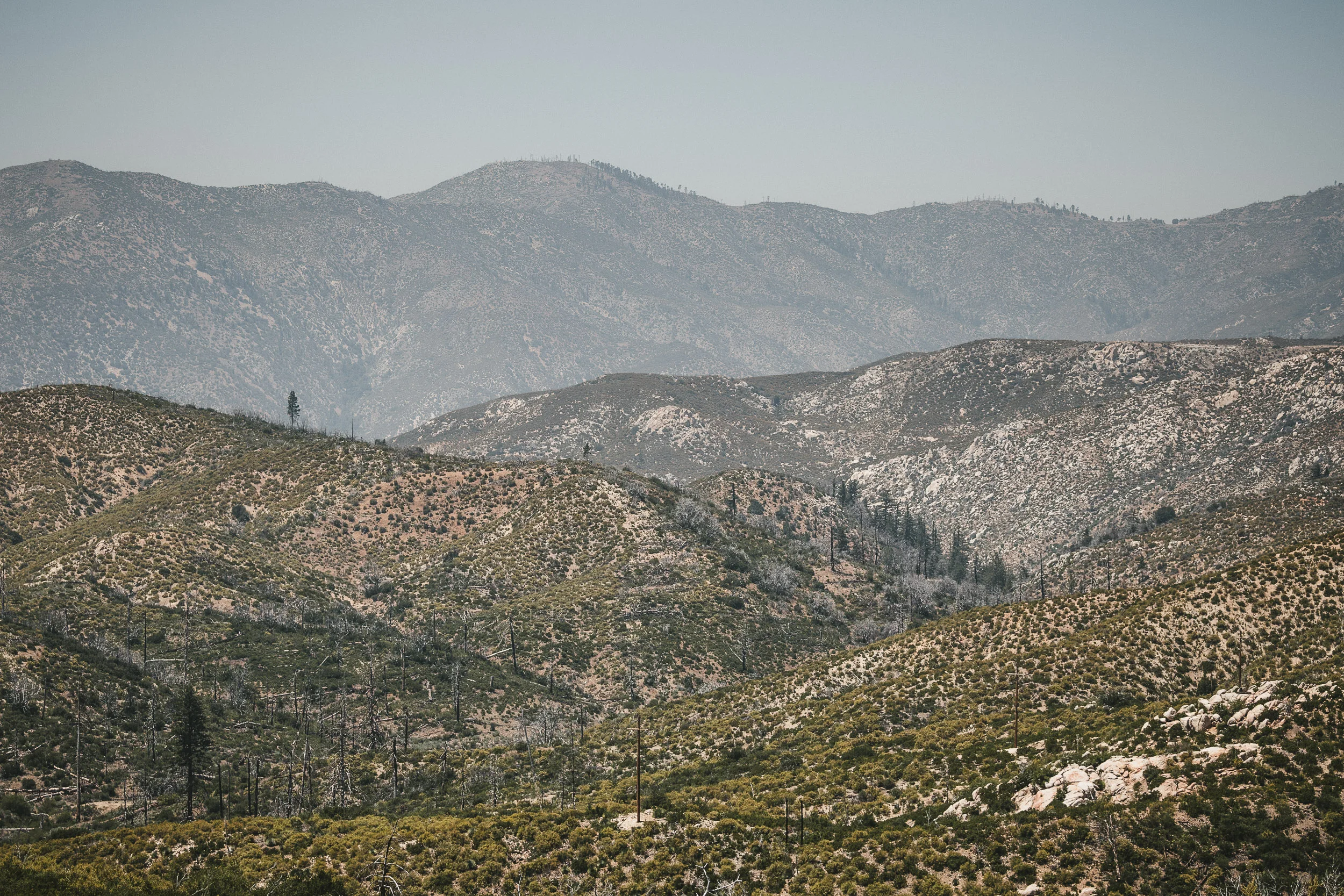 Angeles National Forest