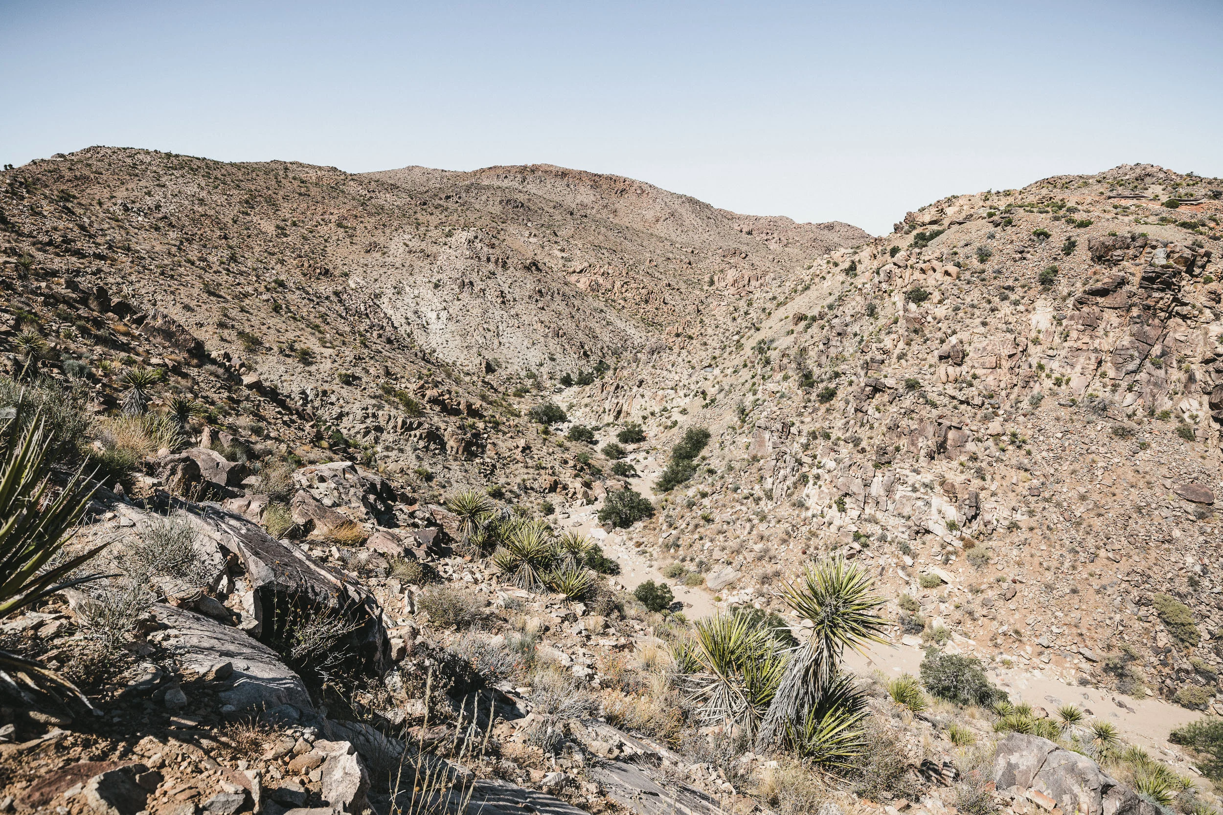 Joshua Tree NP