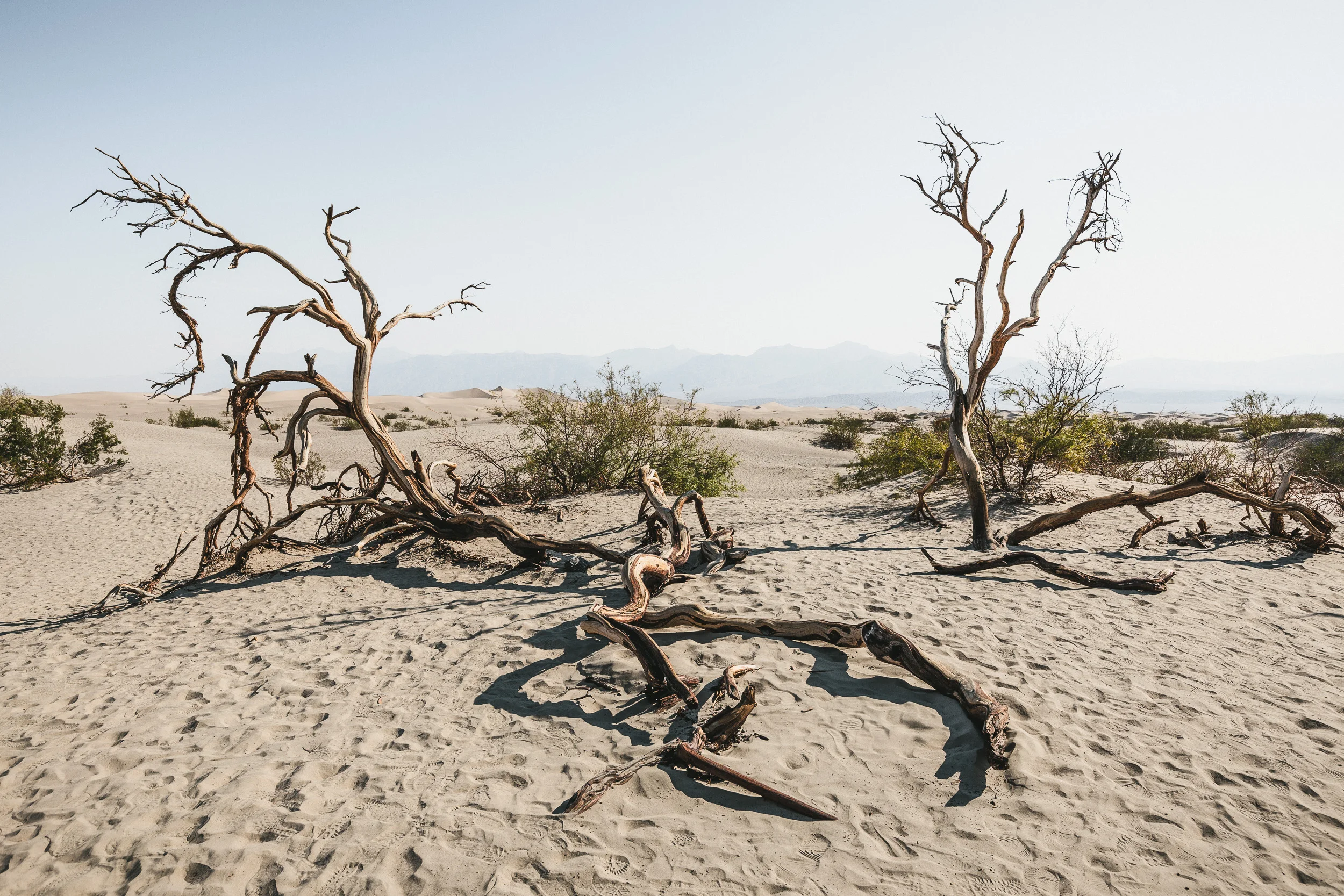 Mesquite Flat Sand Dunes