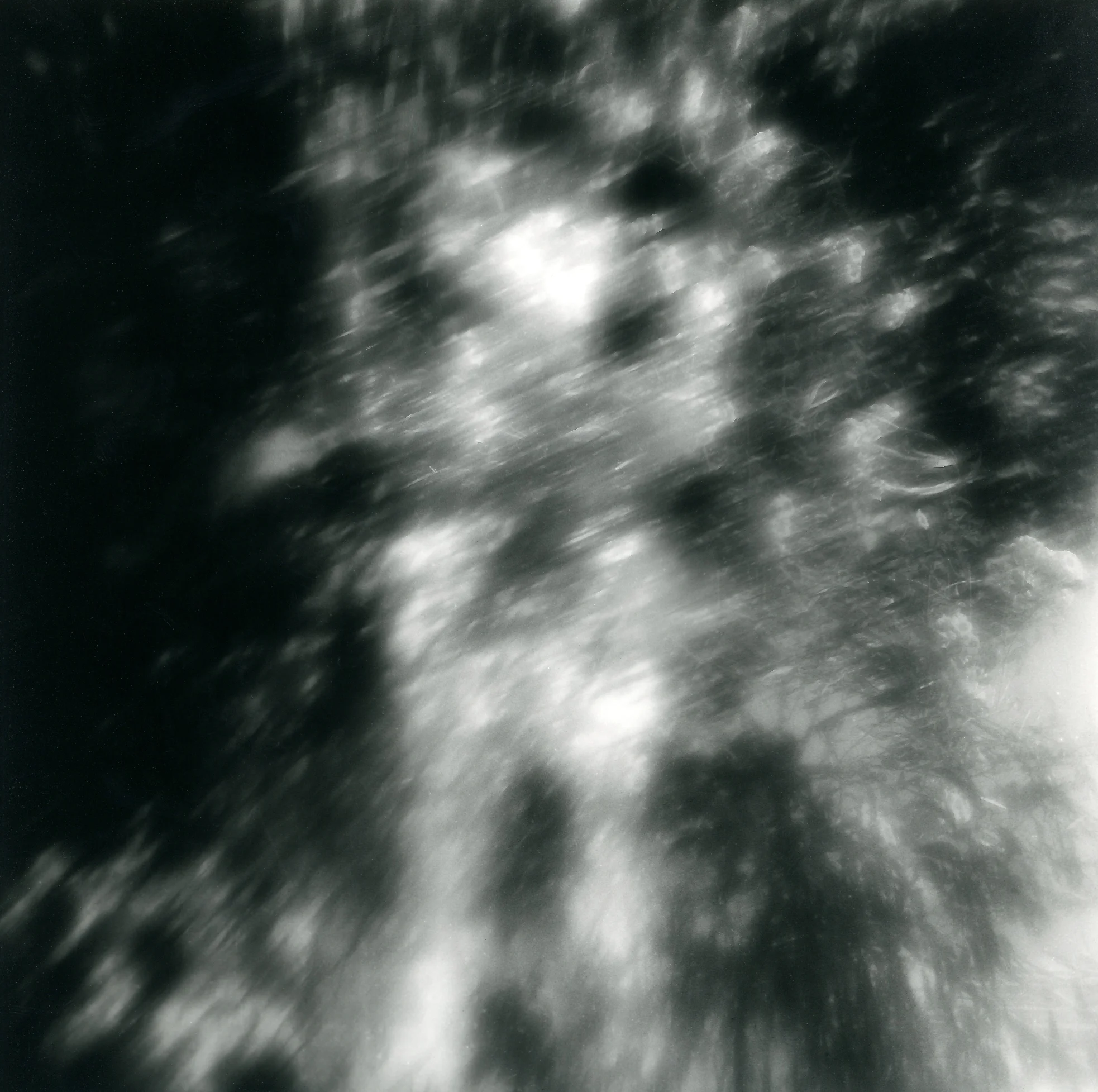 A-15 Photogram-Gelatin silver paper 18x18cm