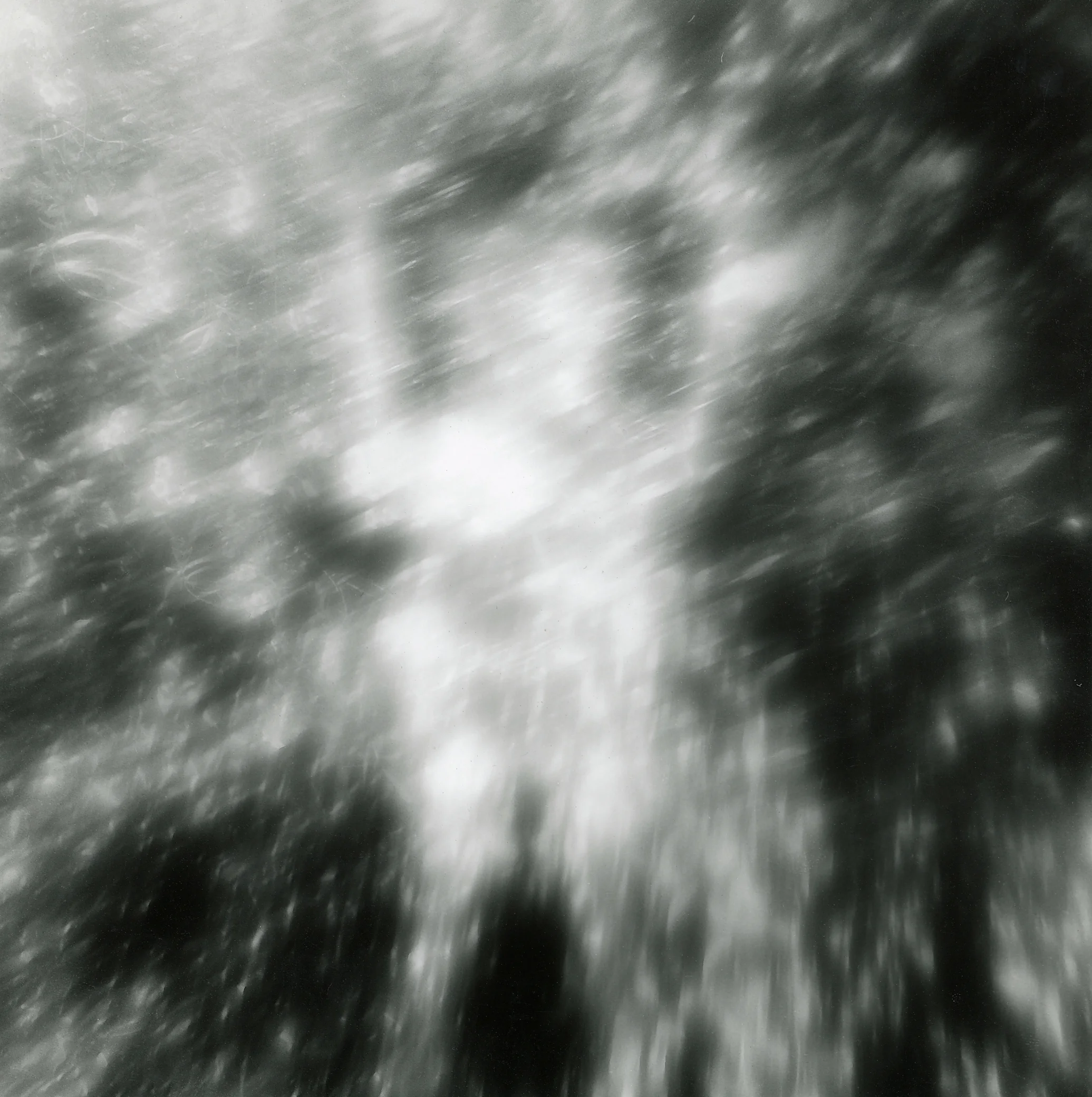 A-19 Photogram-Gelatin silver paper 18x18cm