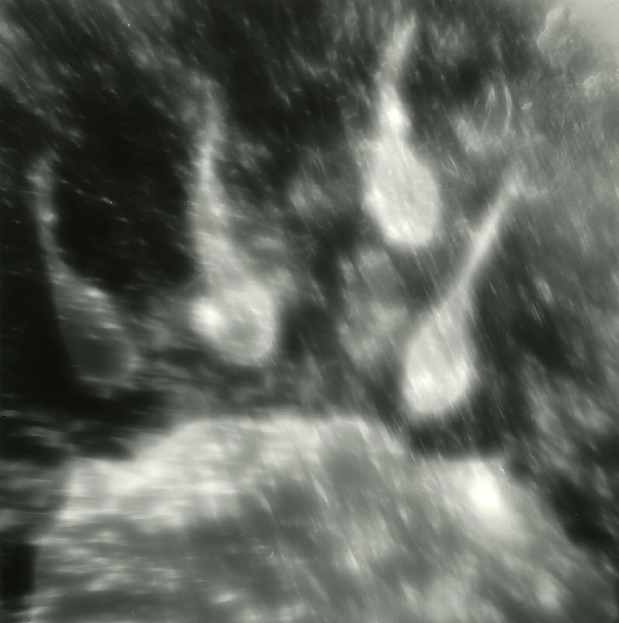 B-3 Photogram-Gelatin silver paper 18x18cm