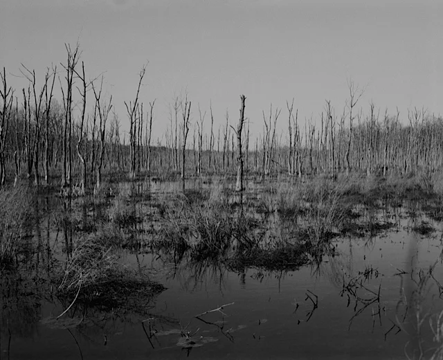 Landscape.jpg