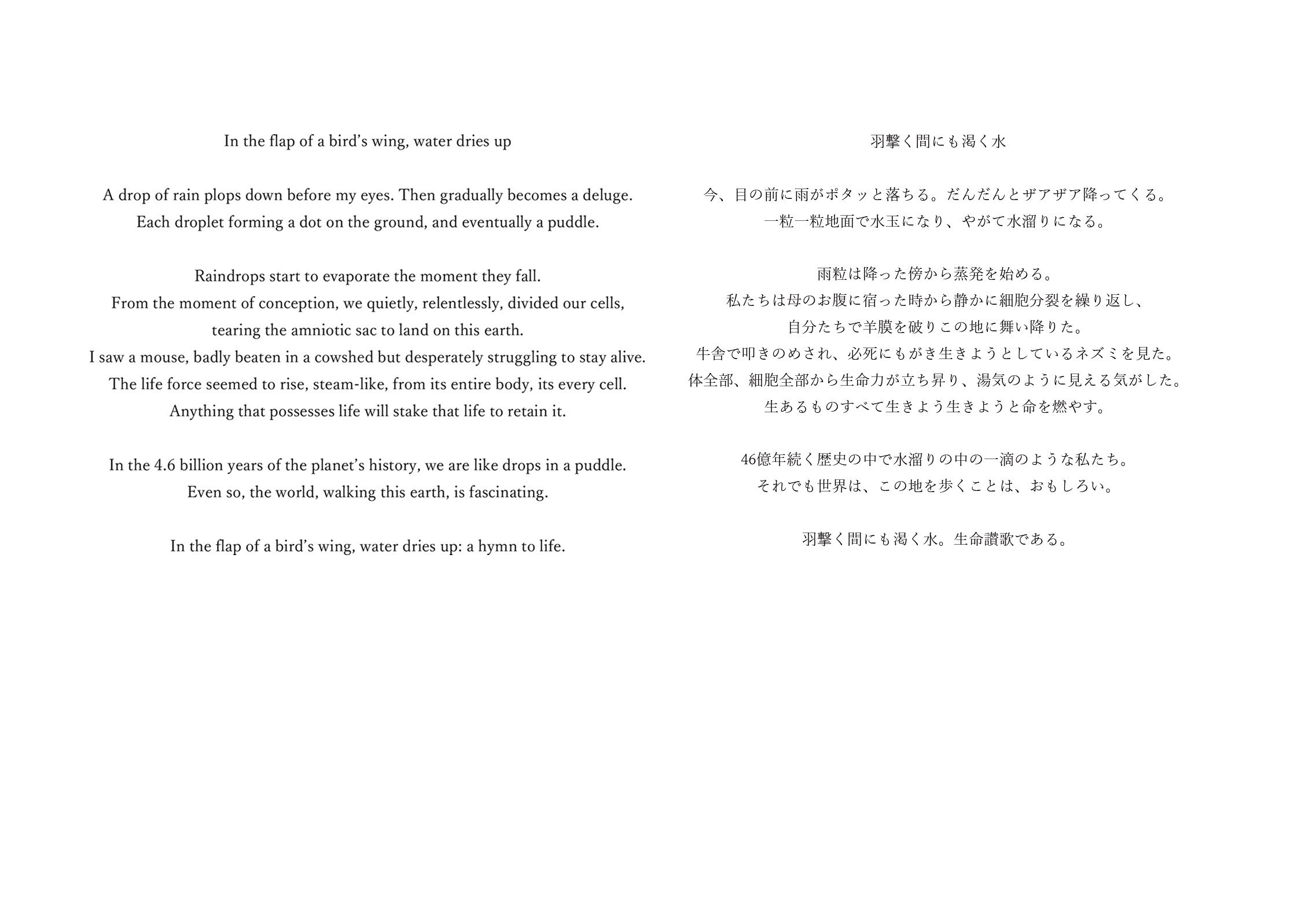 In the flap of a bir1.jpg
