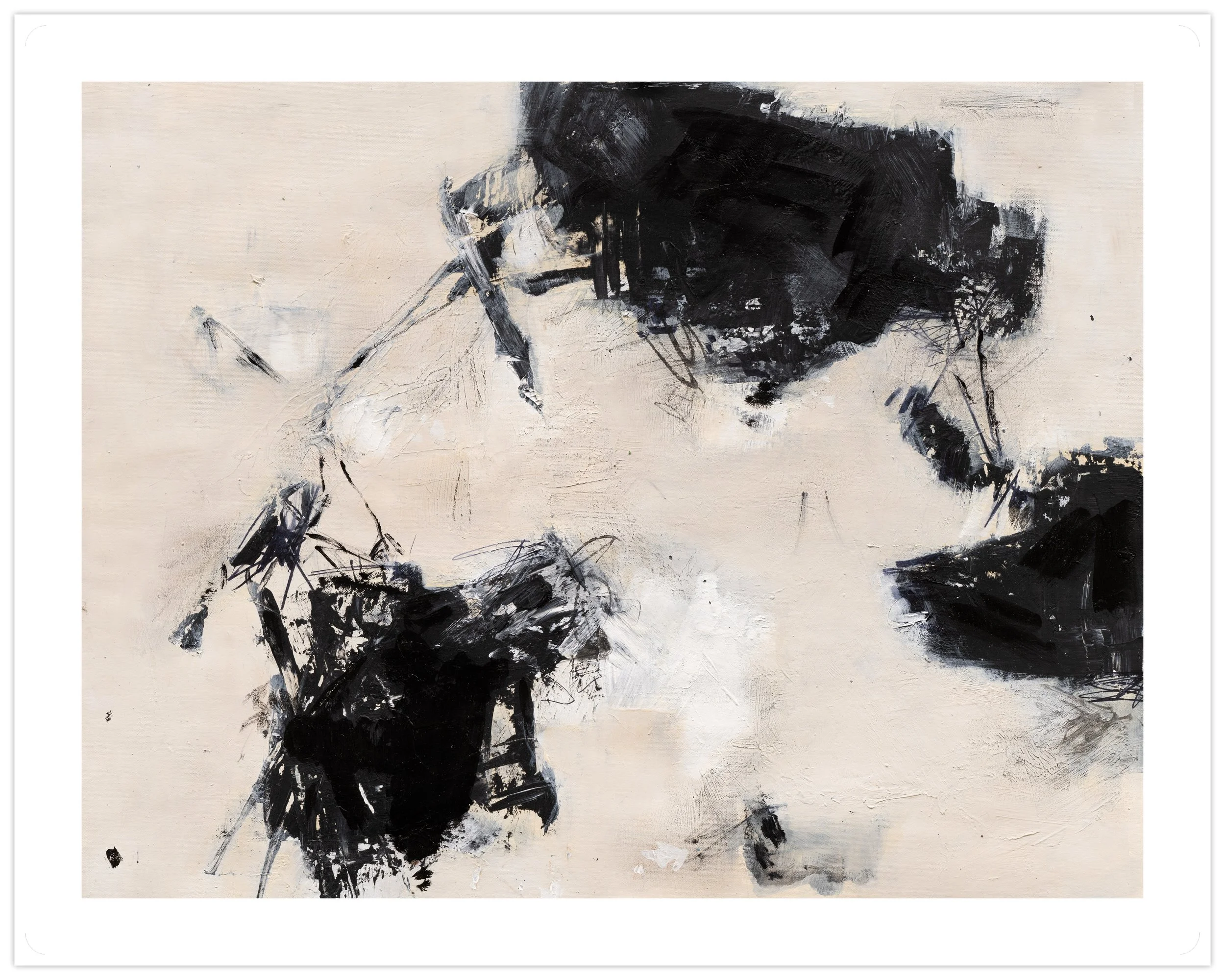 study in black & white #2