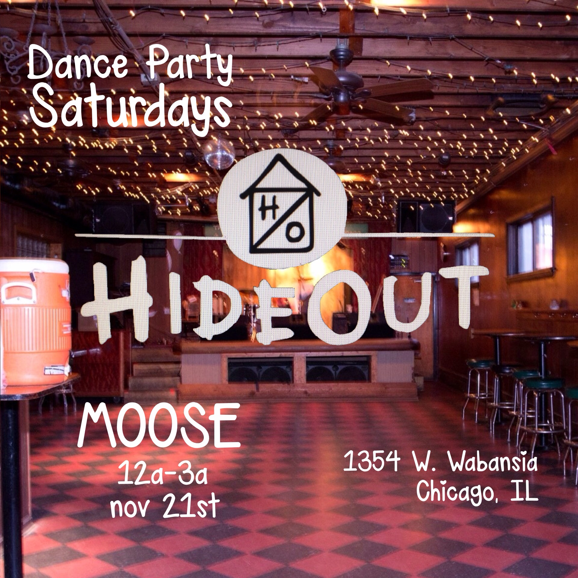 Moose at the Hideout