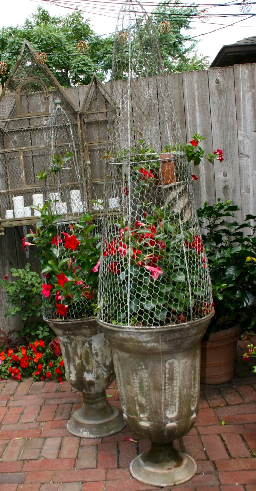 IMG_6249.jpg