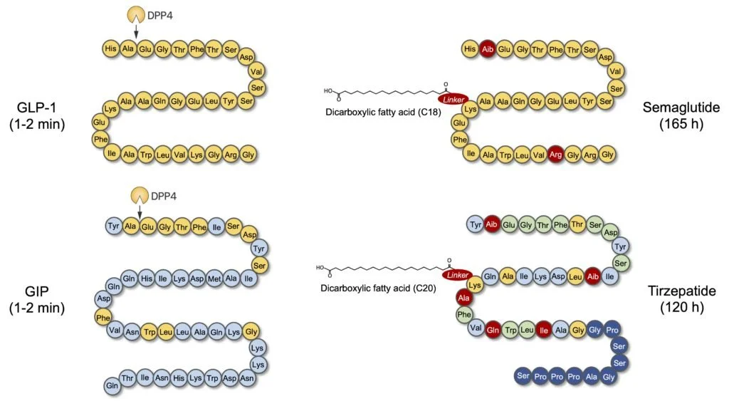 Semaglutide vs Tirzepatide 