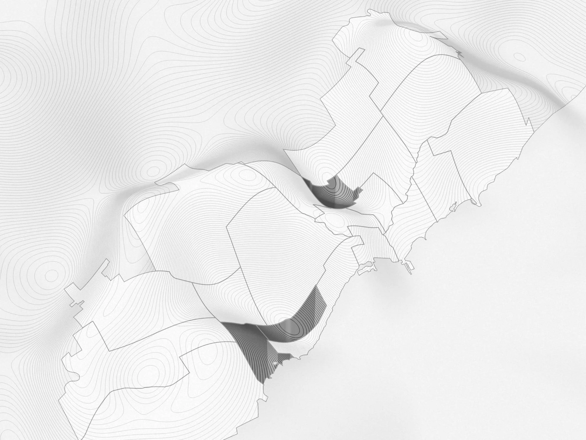 Form N-X00: New Forms for Citizenship