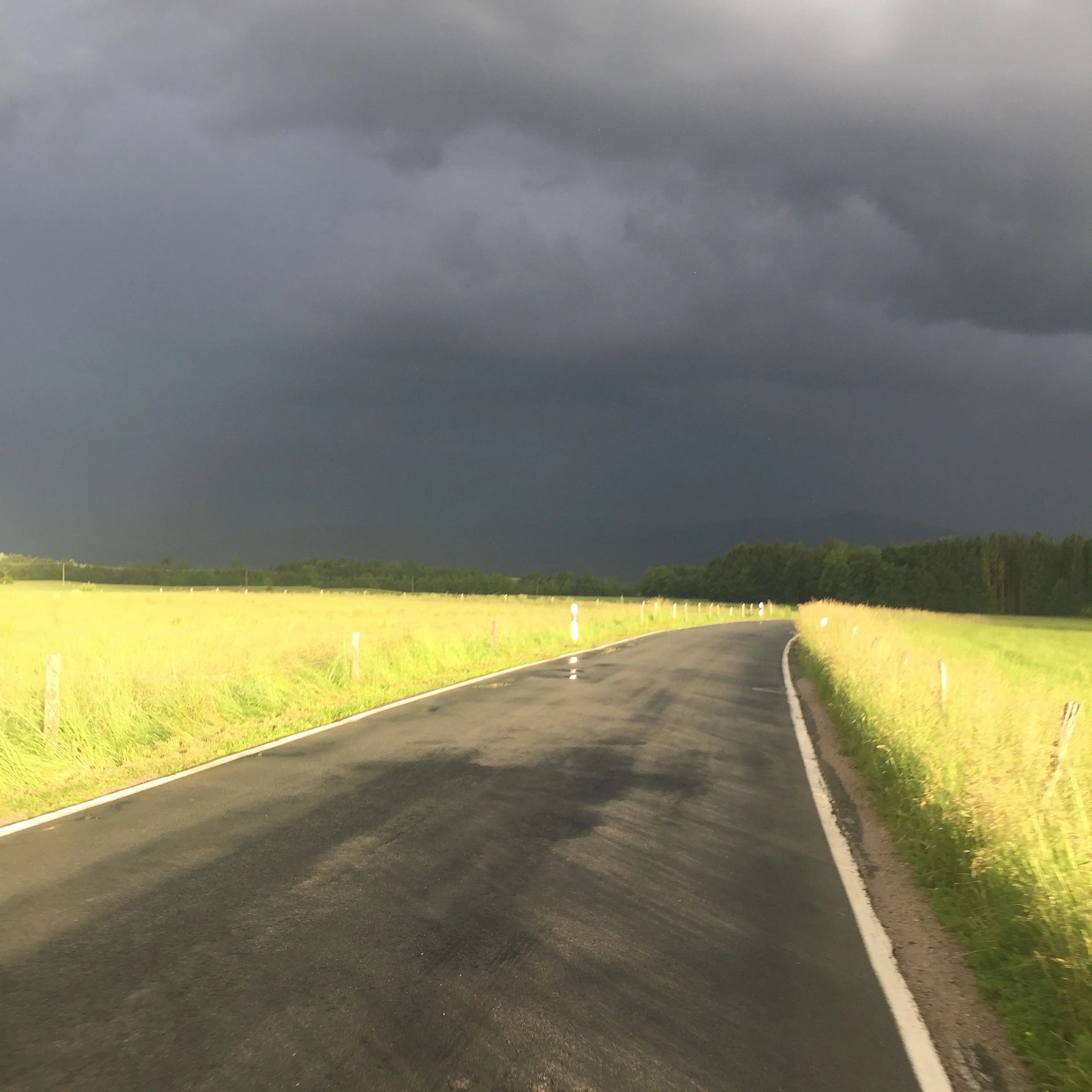 Into the storm