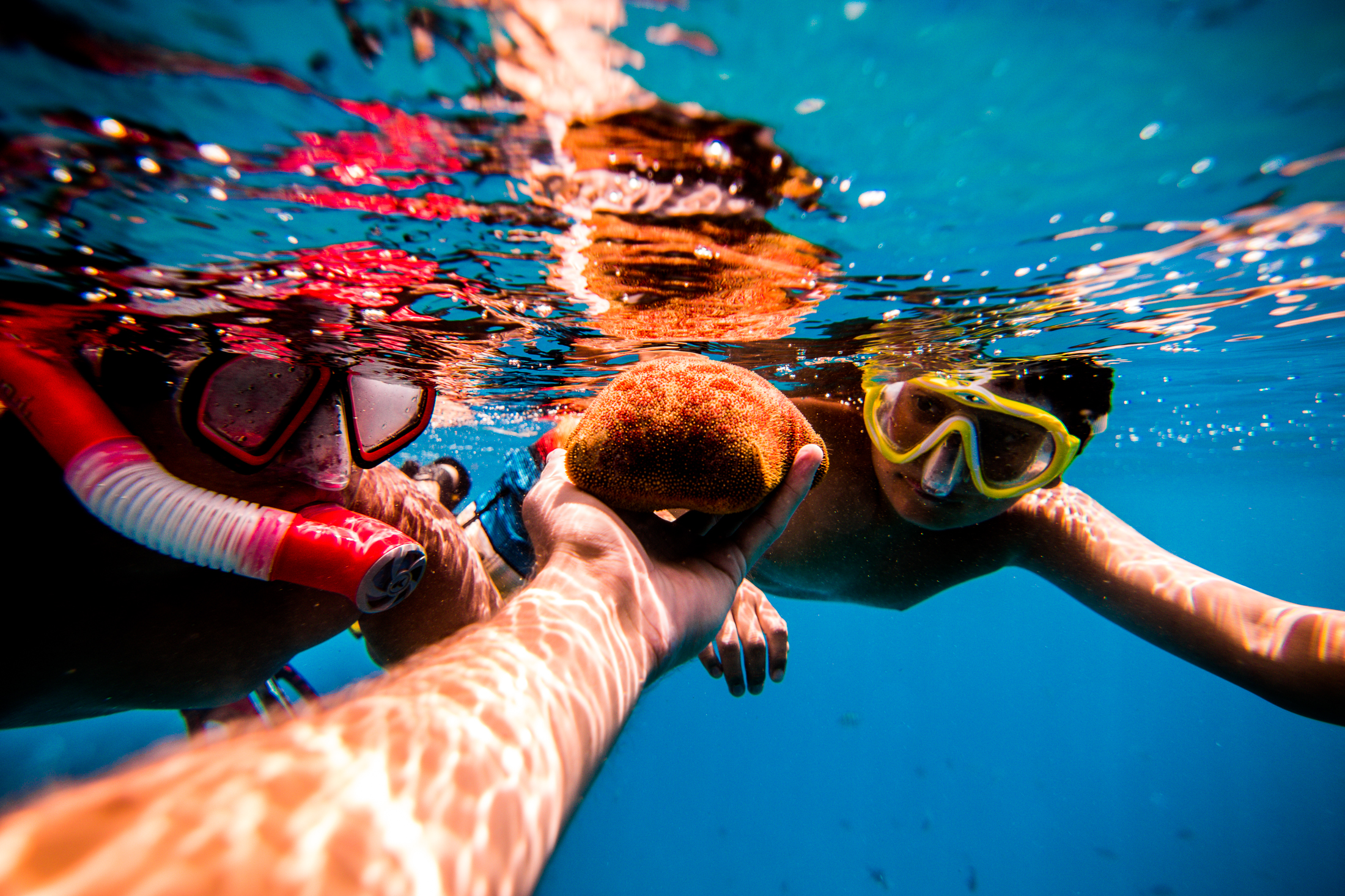 family snorkeling.jpg