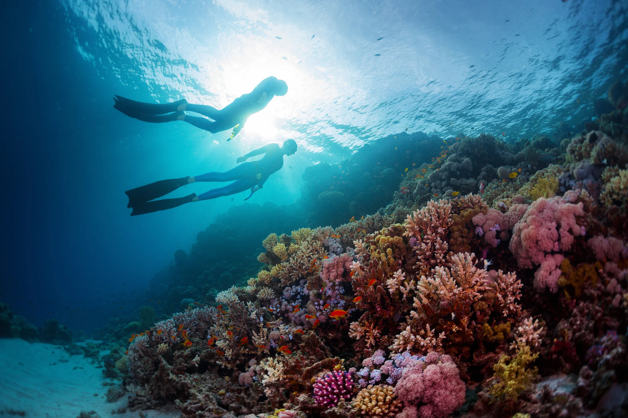 Photo by mihtiander/iStock / Getty Images