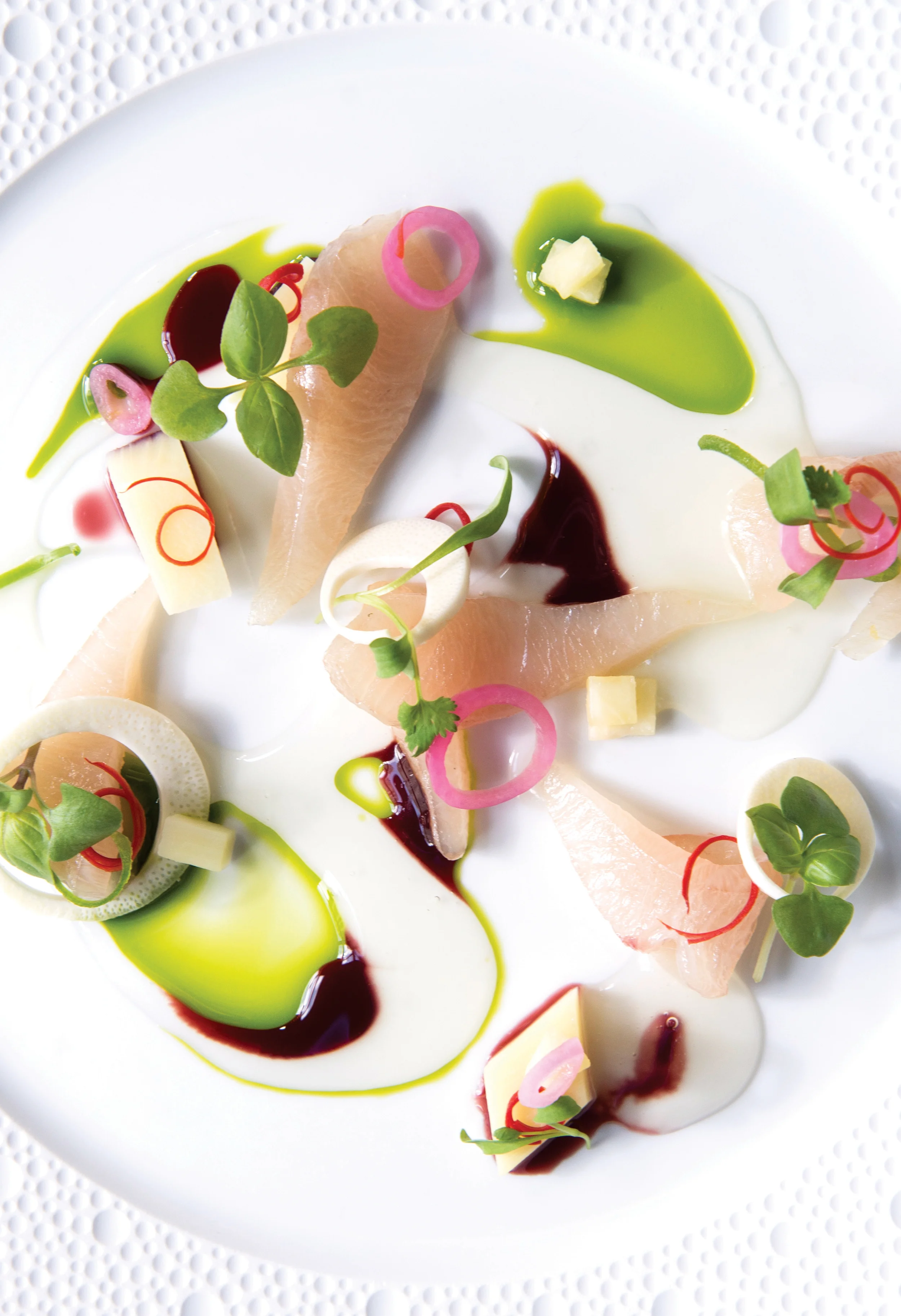 150218_CCK_Atlas_107jpg