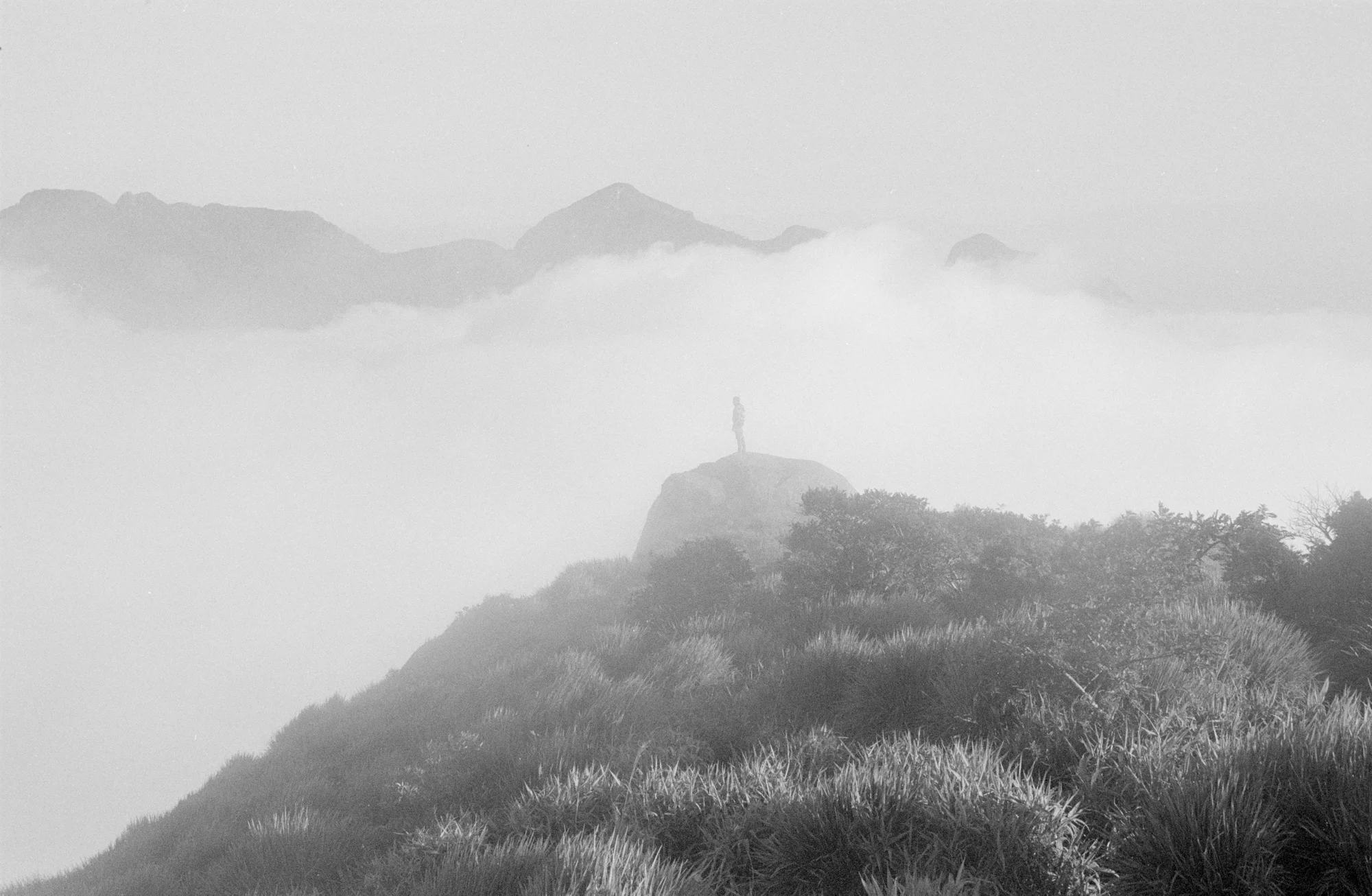 Untitled, 2014.