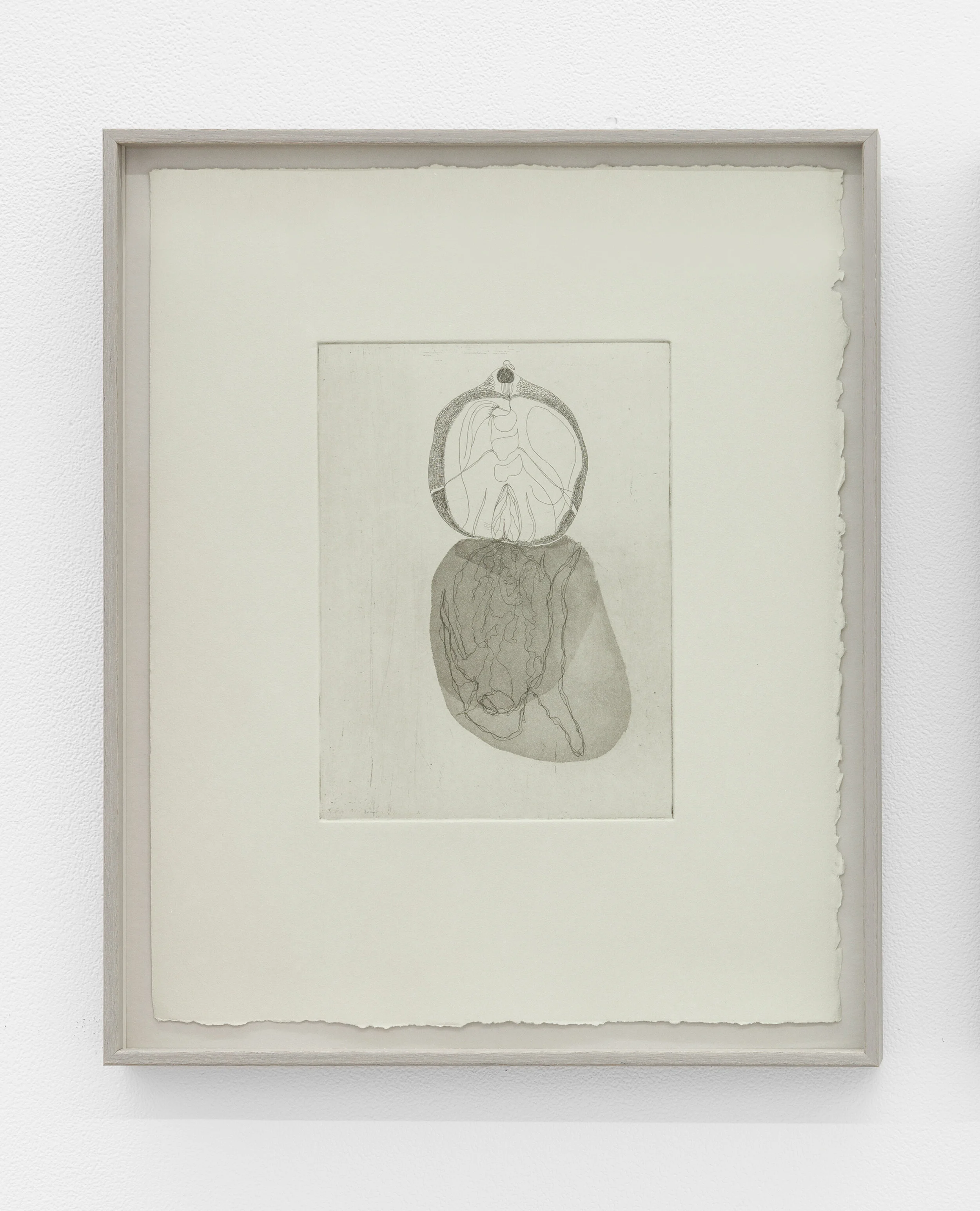 Dark Matter ( Naturalis Historiae series ), 2020 Etching on BFK Rives Gris 280gm paper 38x32 cm | Editon of 9 +2AP
