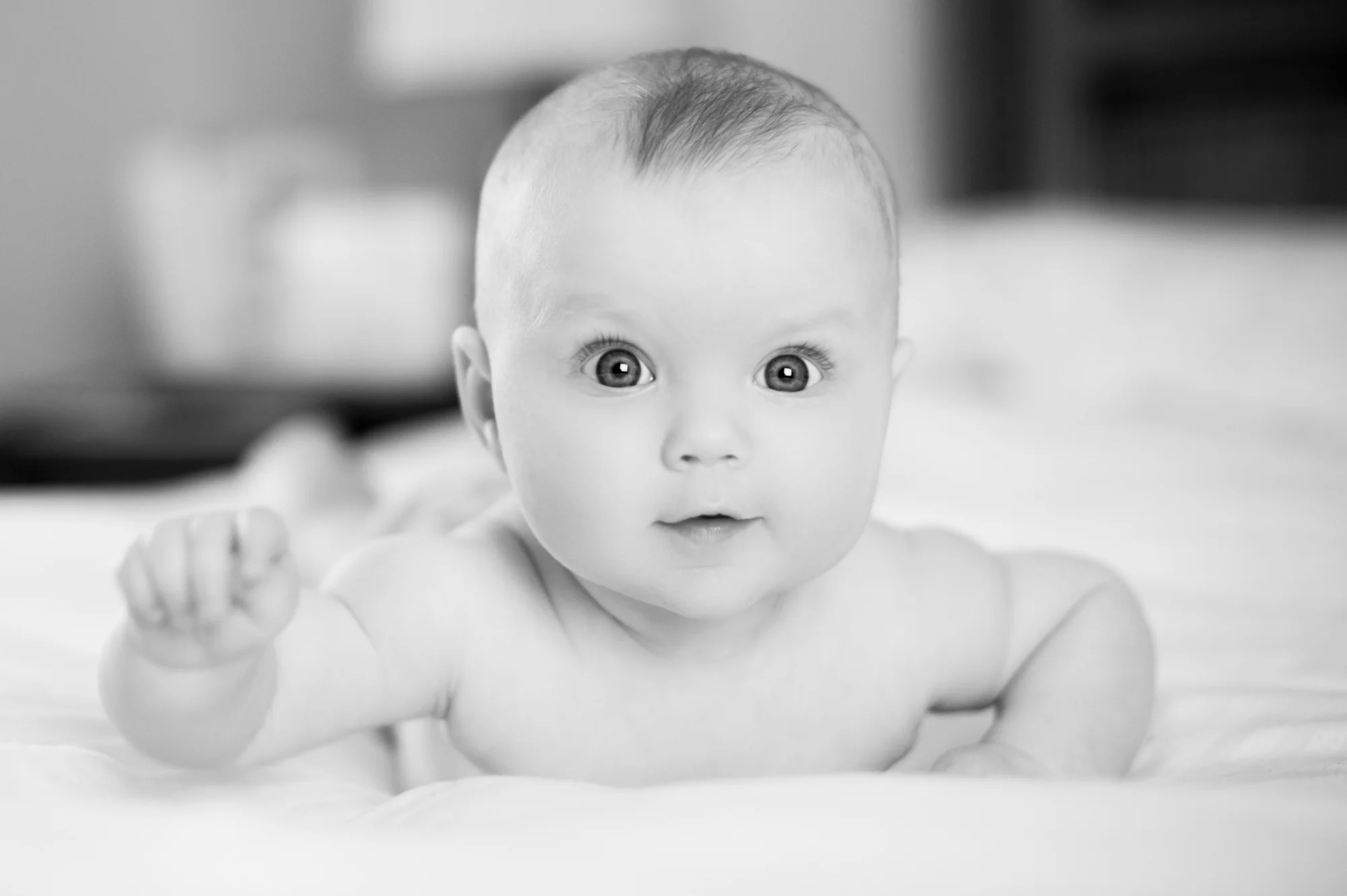 DSC_2671-Edit-2.jpg