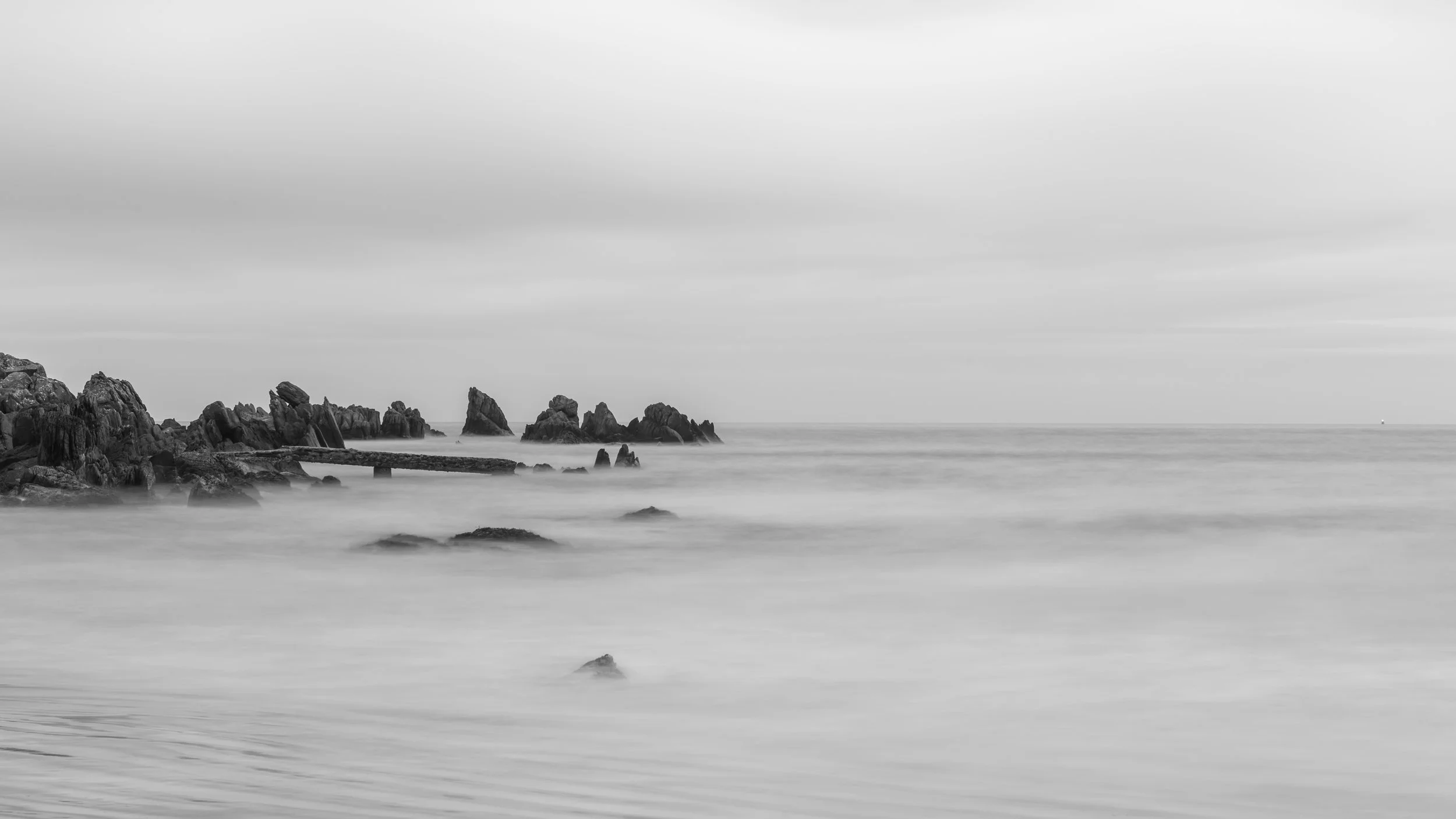 DSC_7579.jpg
