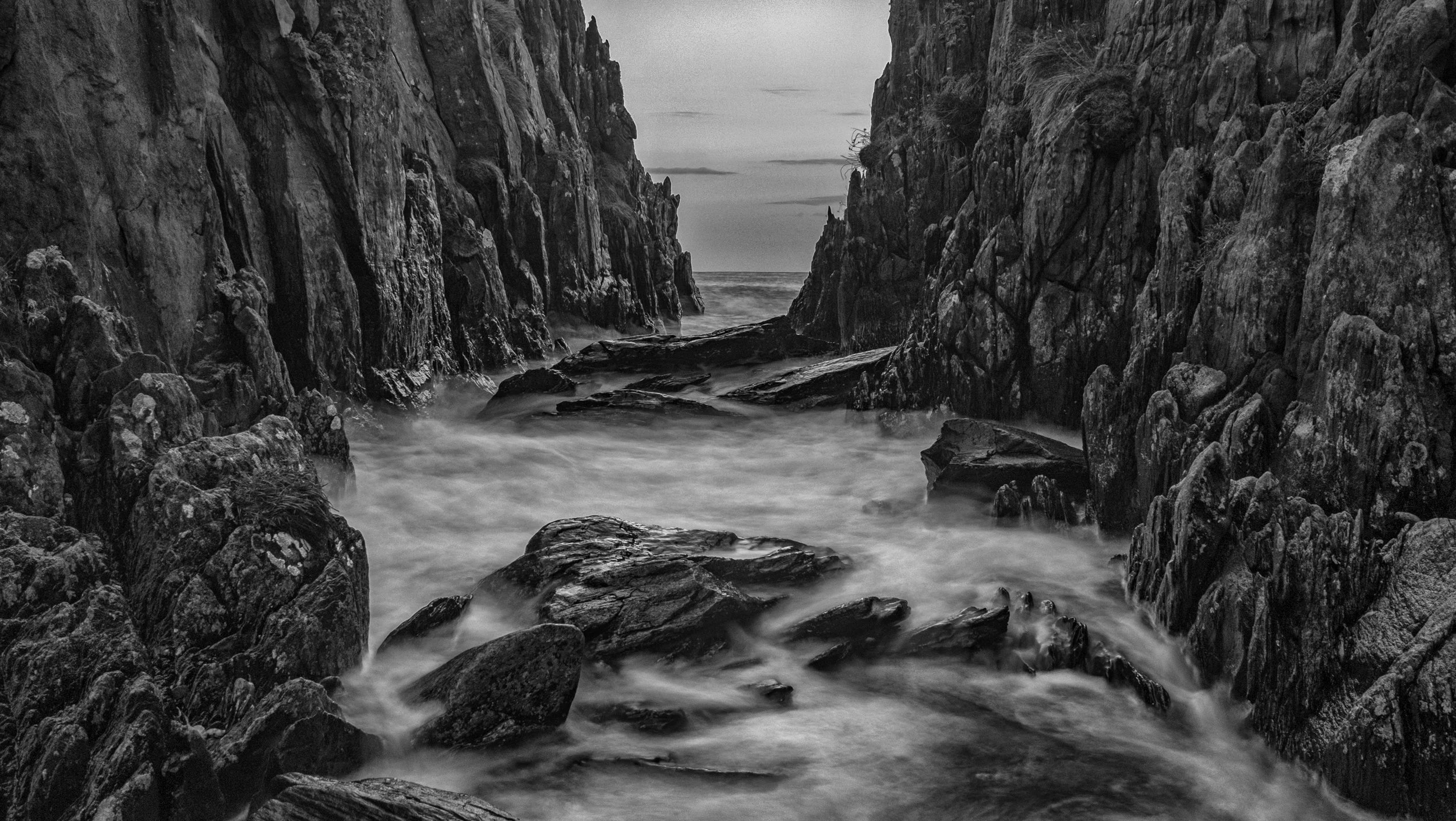 Shrove_Black_White.jpg