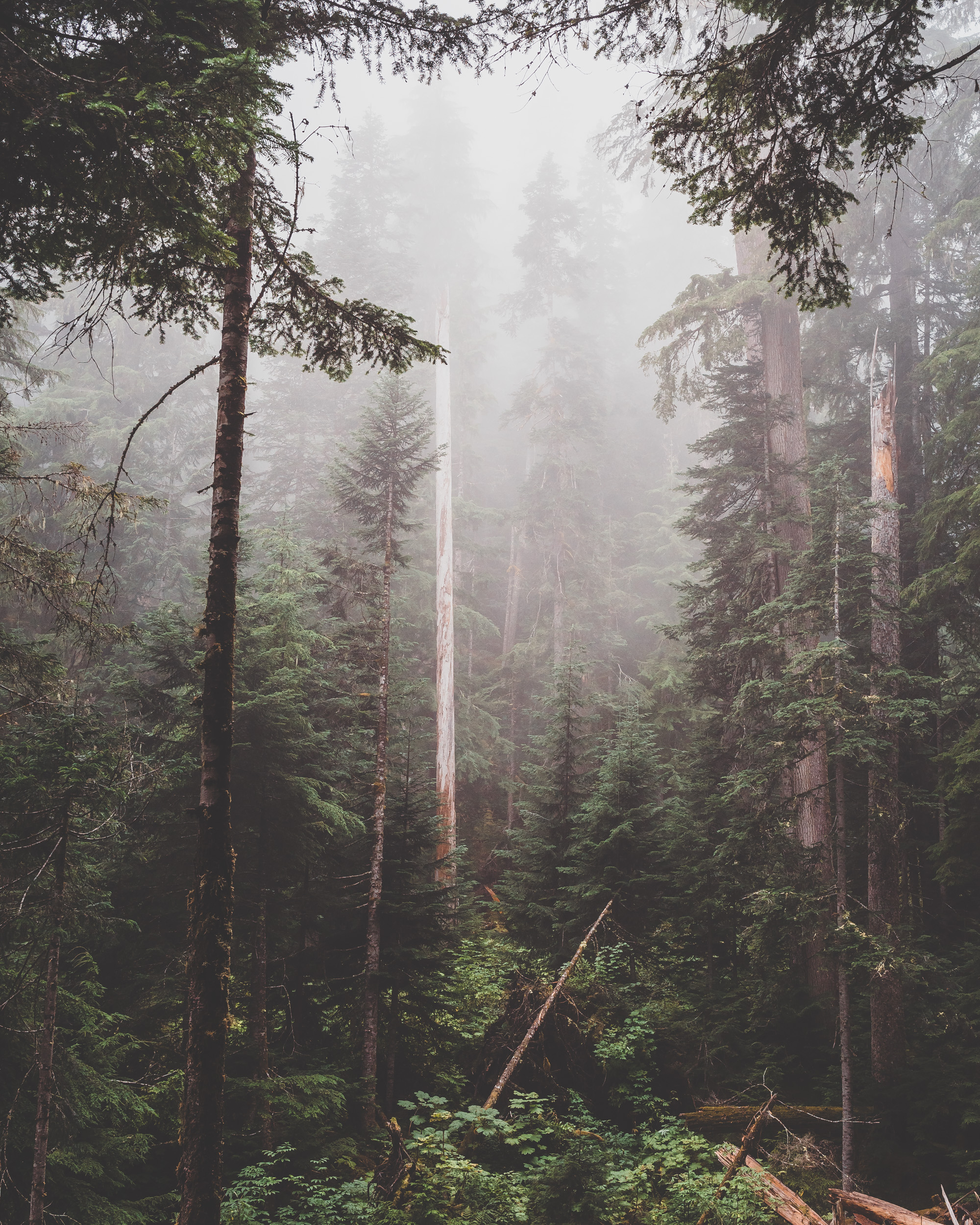 _optimized-7601-2.jpg