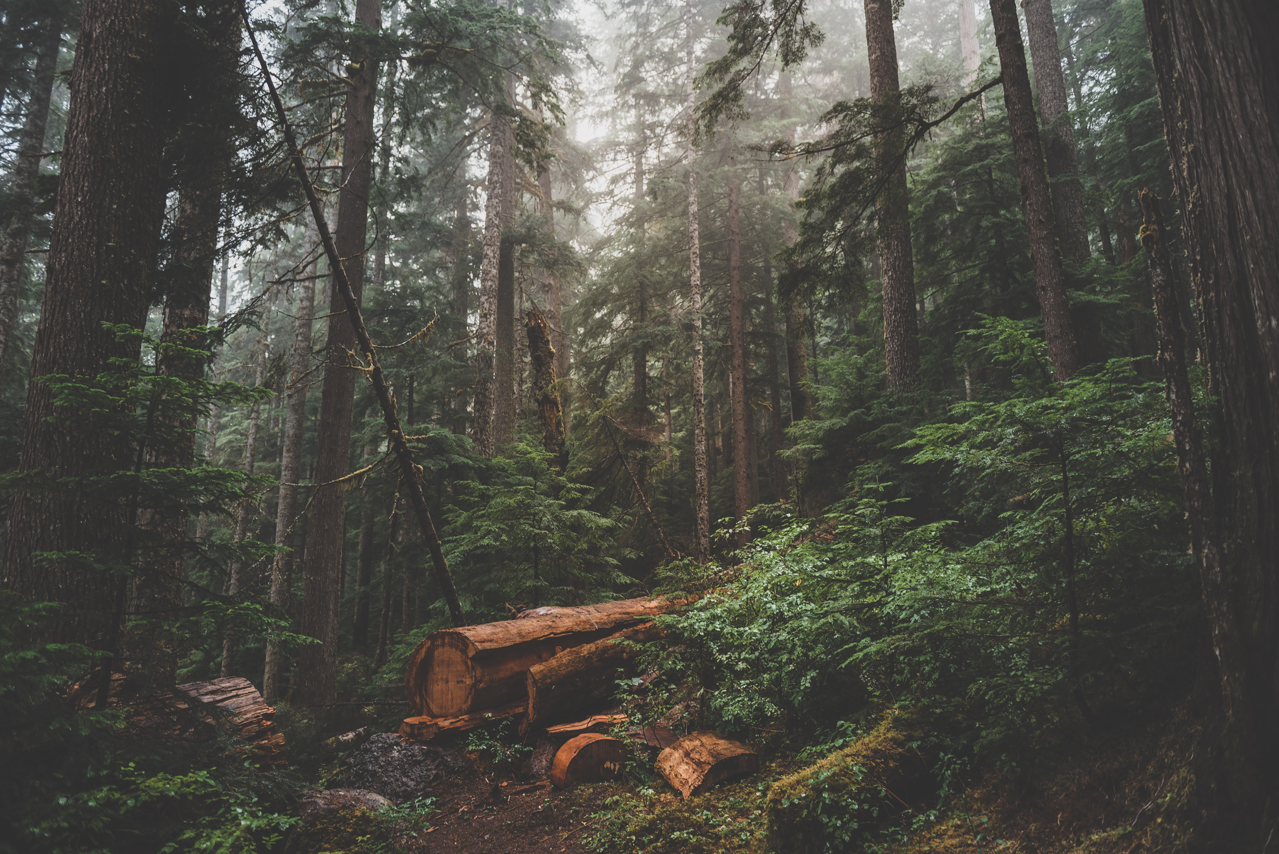 _optimized-7419.jpg