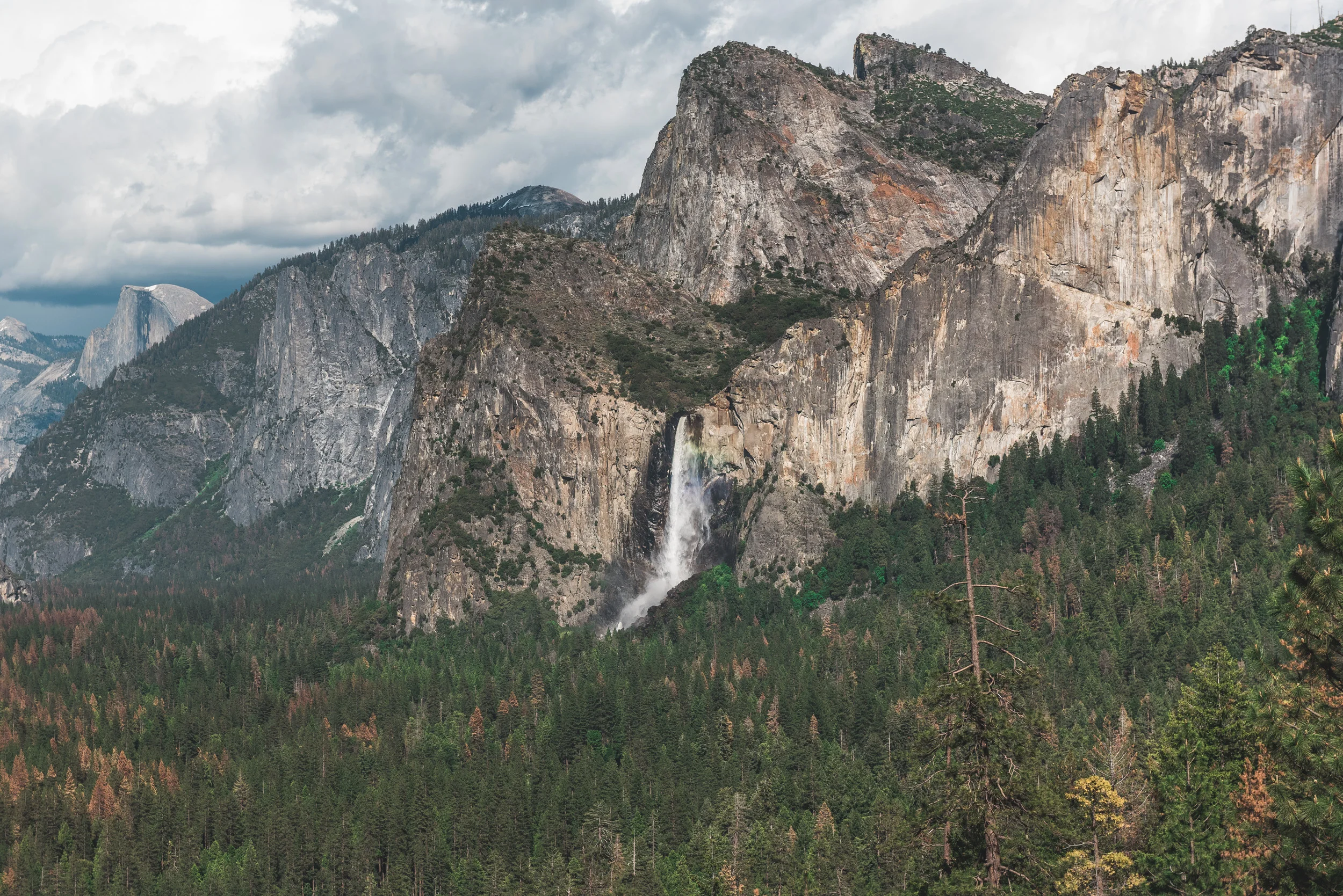 _optimized-0417-2.jpg