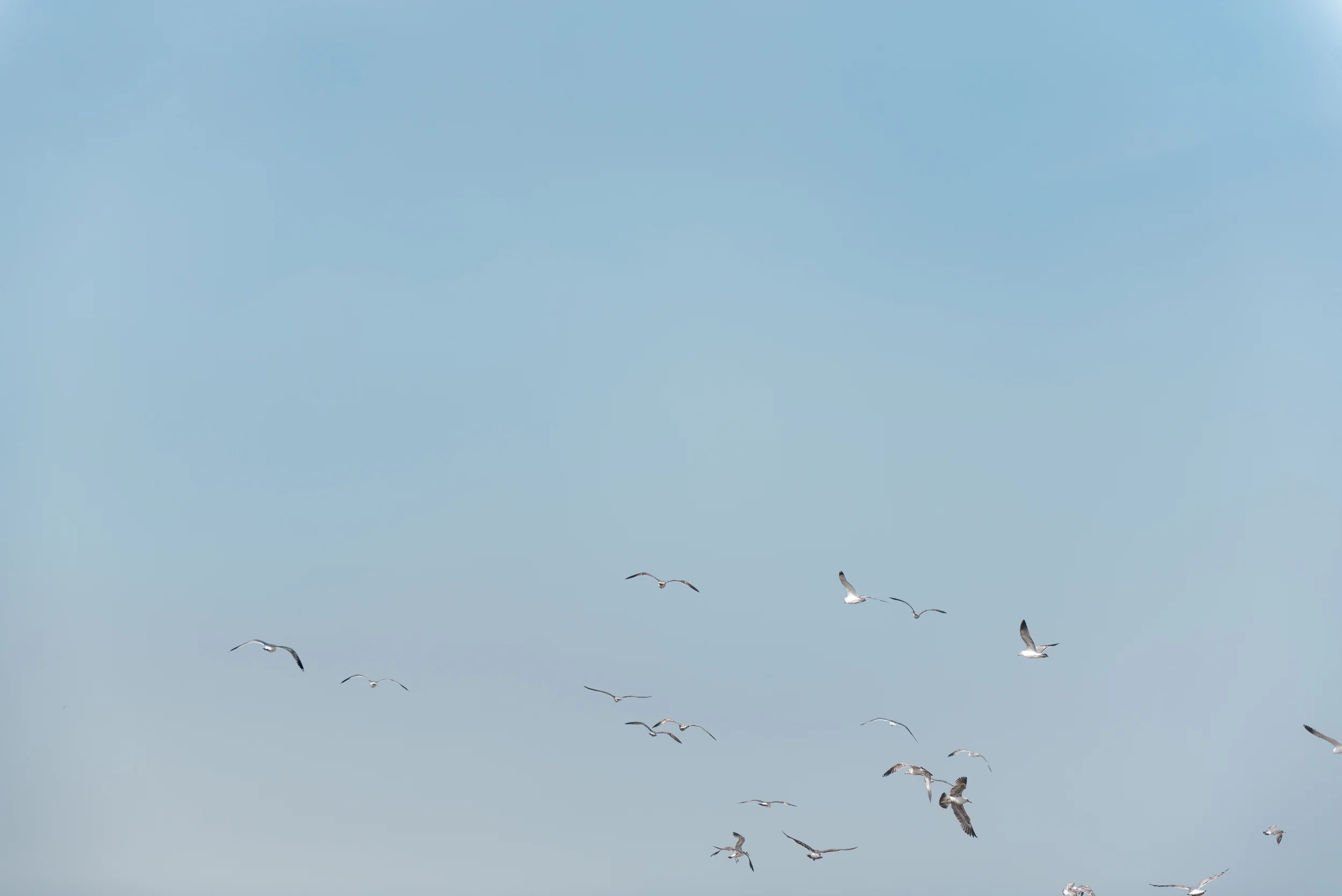 _optimized-1120-2.jpg