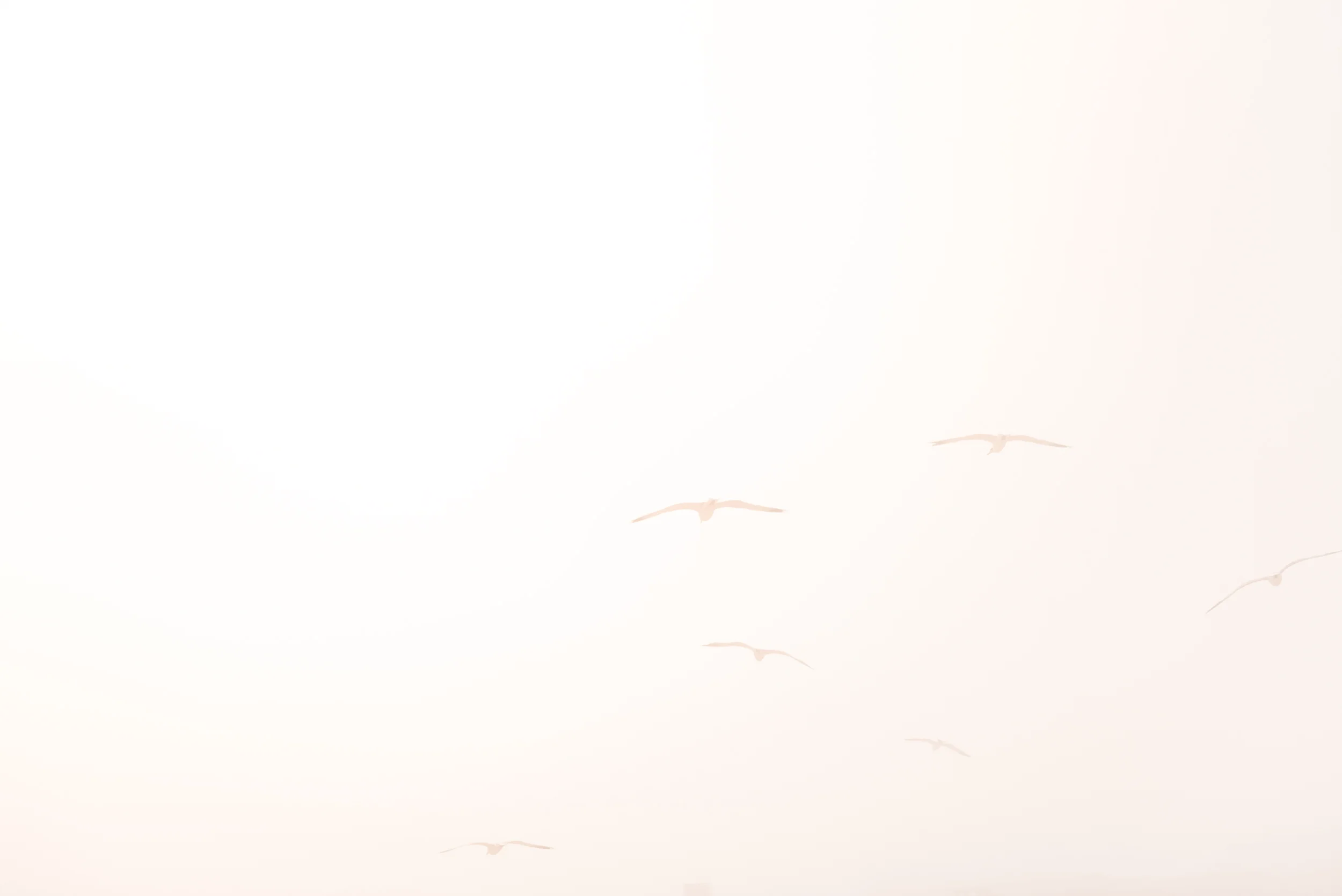 _optimized-1076.jpg