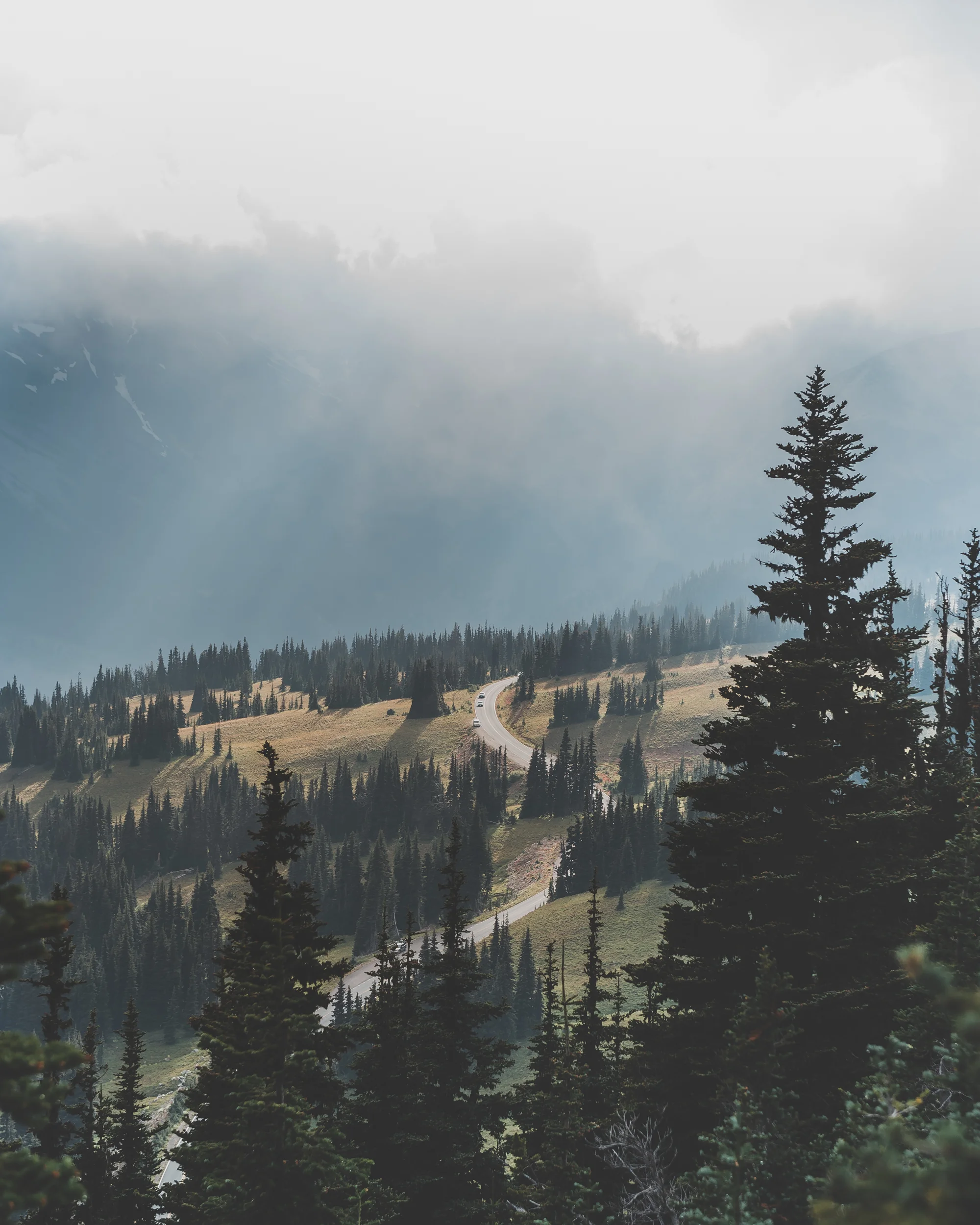 _optimized-6990.jpg
