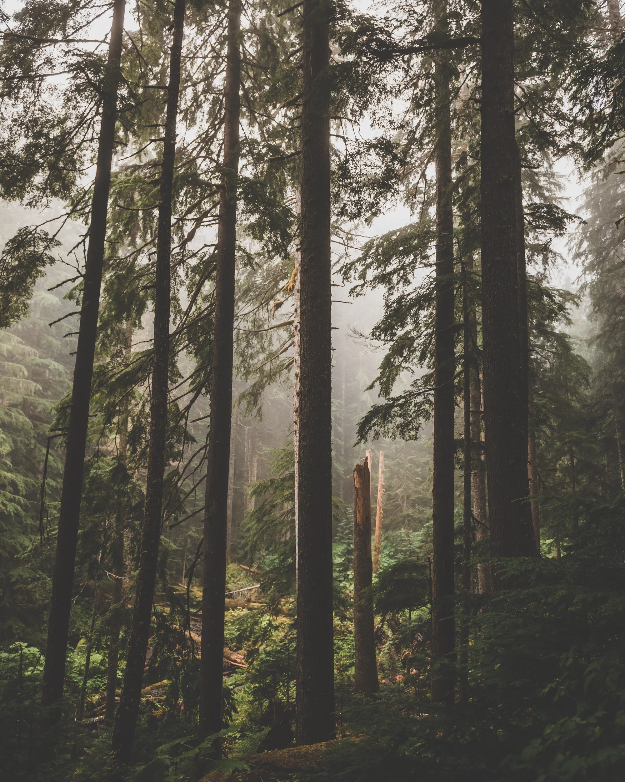 _optimized-7411-2.jpg