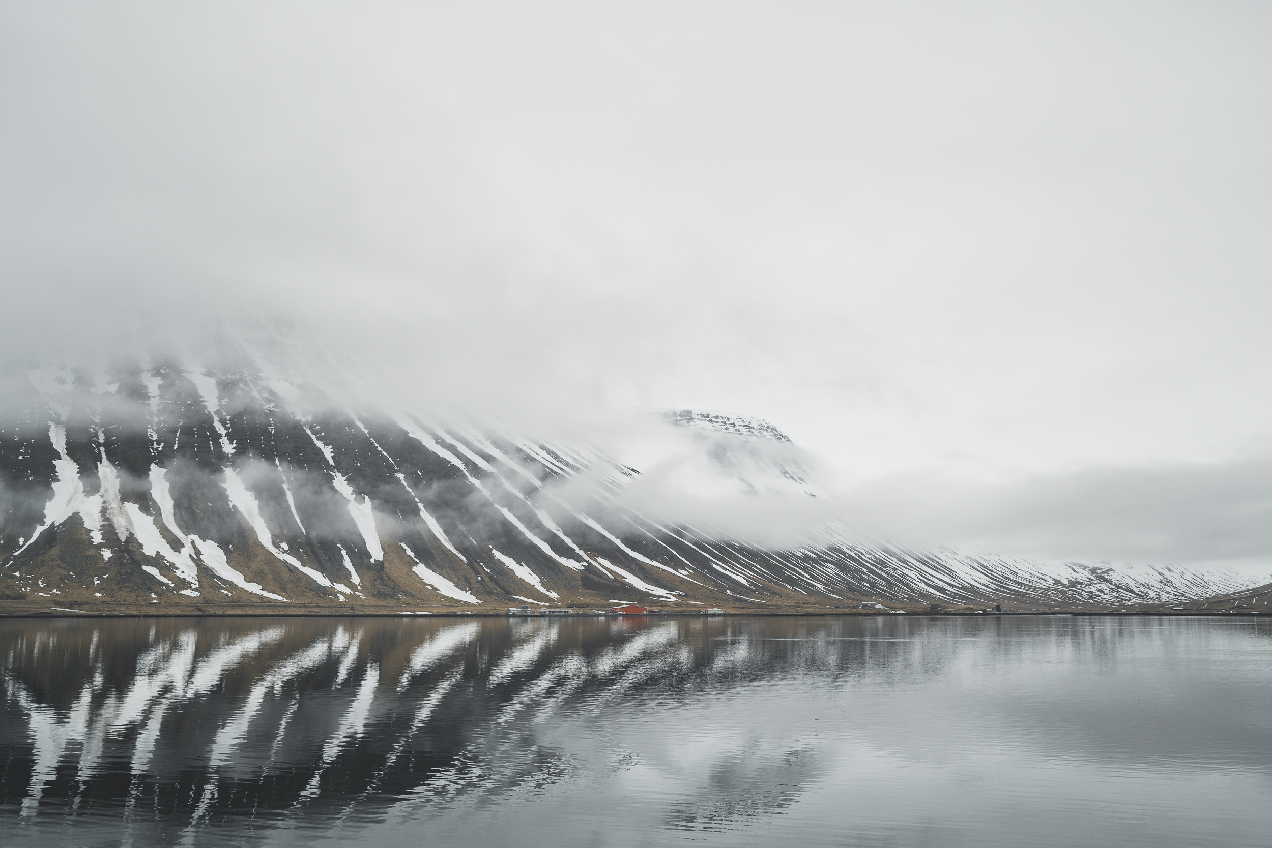_optimized-02510.jpg