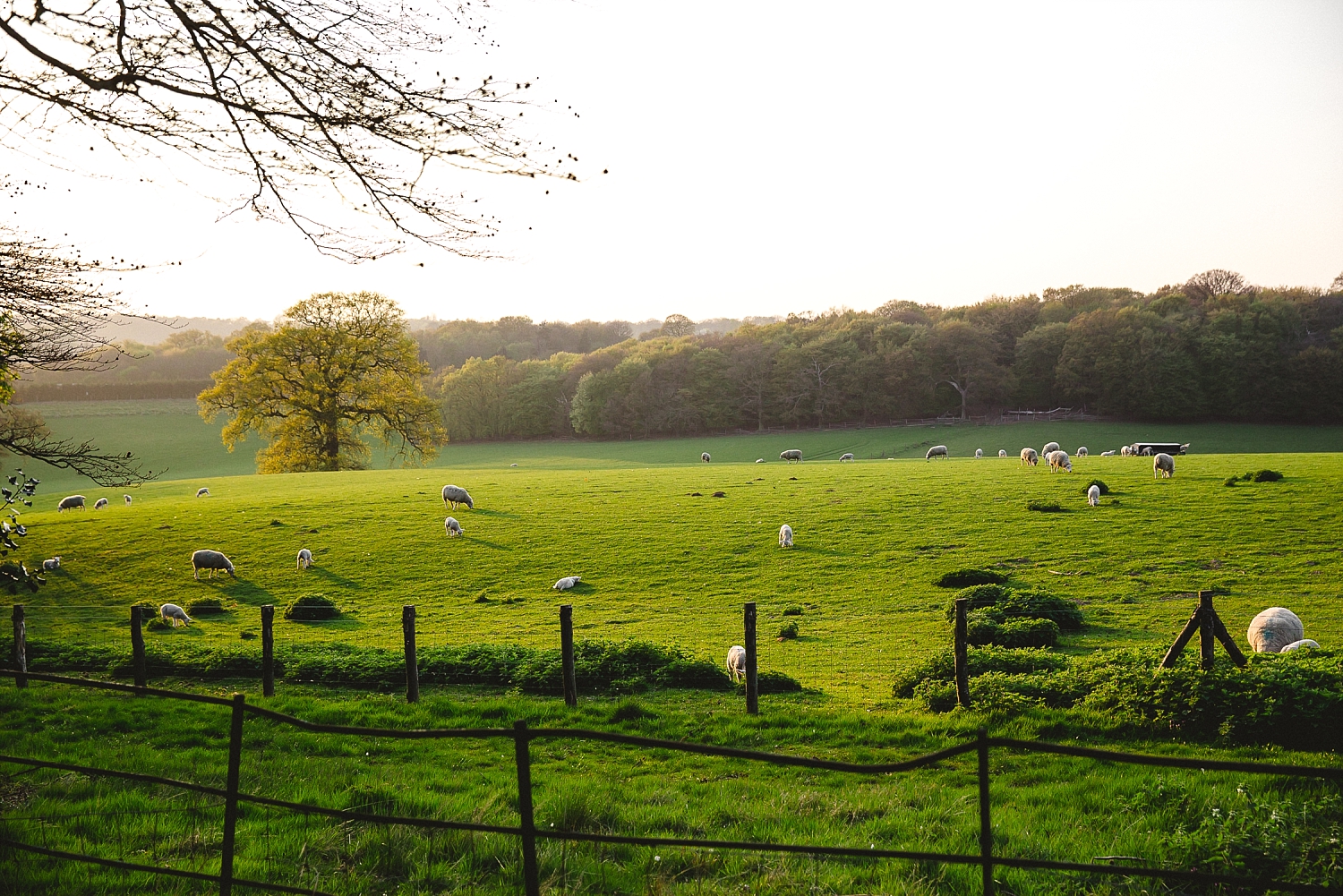 Gaynes Park Essex Wedding Photographer - Views at Sunset