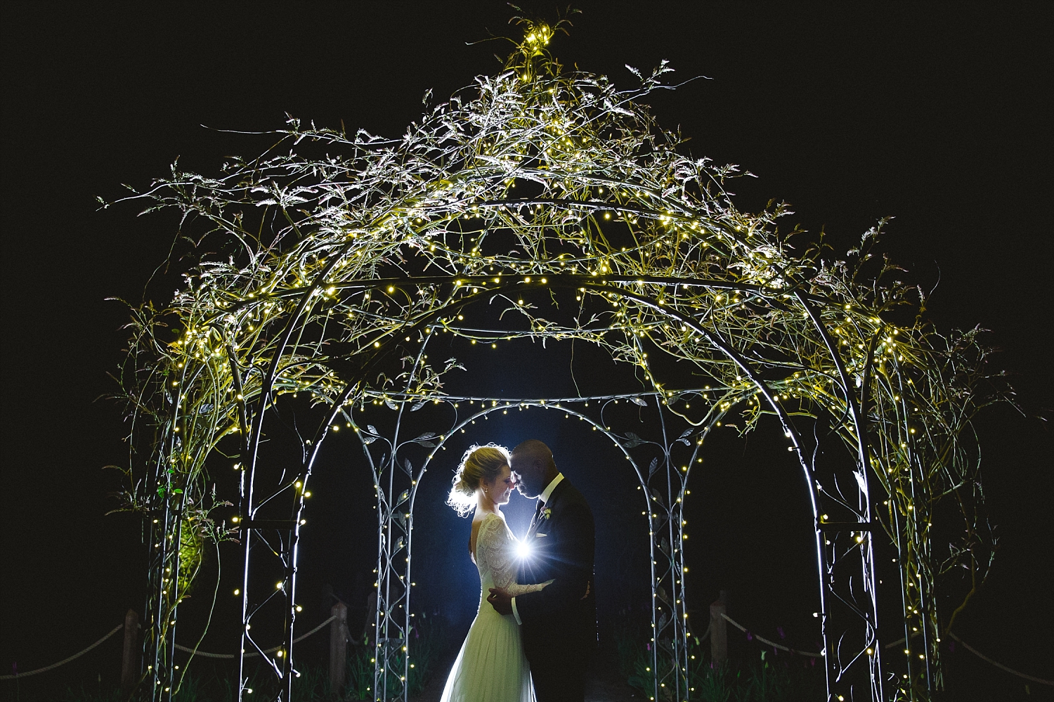 Gaynes Park Wedding Photographer - Portrait in the Gardens at Night