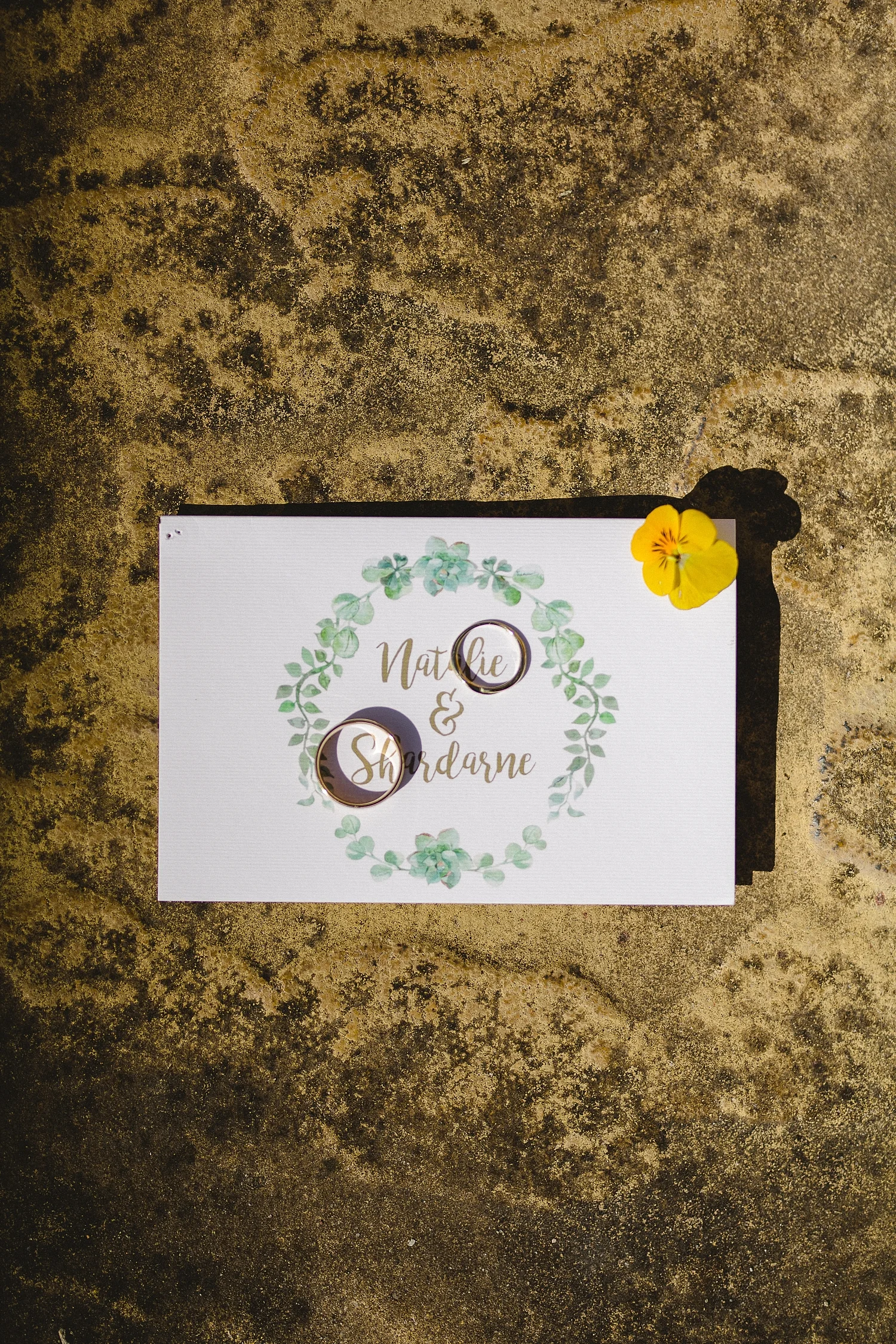 Houchins-Wedding-Photographer_0160.jpg