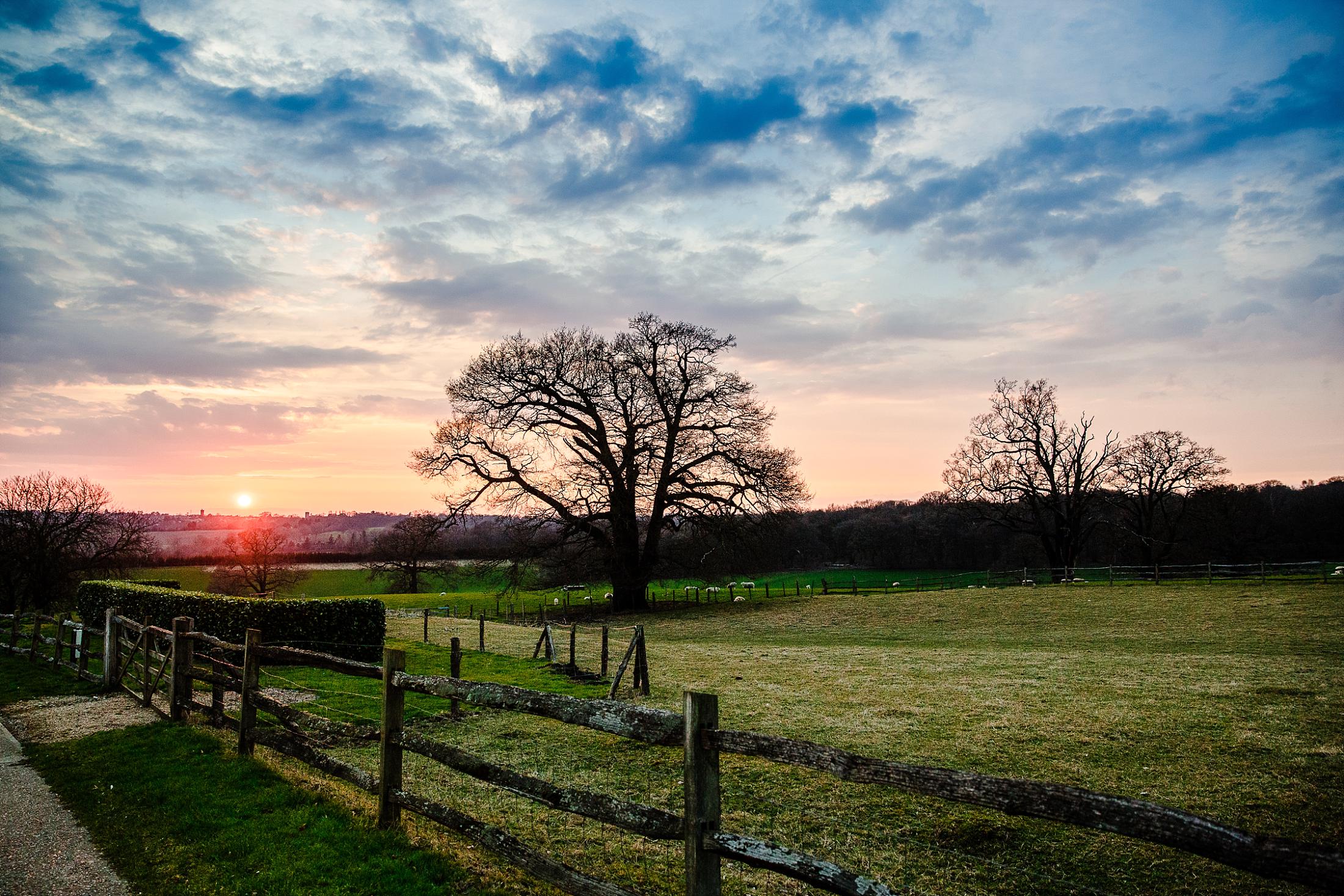 Gaynes Park Wedding Photographer_0097.jpg