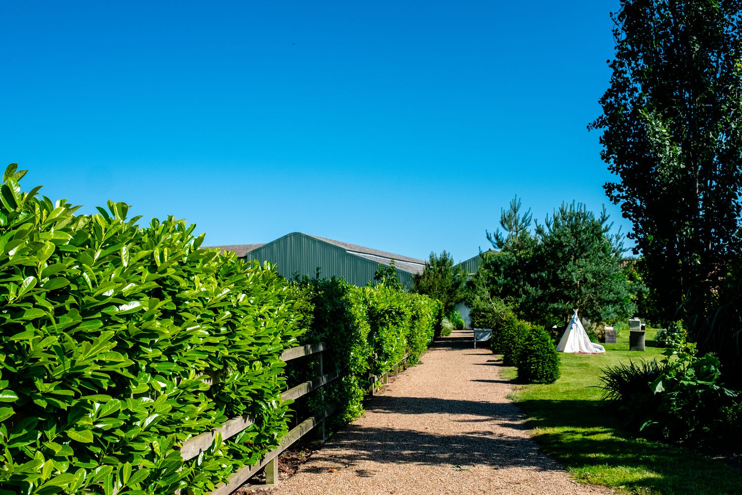 The Barn at Woodlands Norfolk Wedding Photographer_0599.jpg