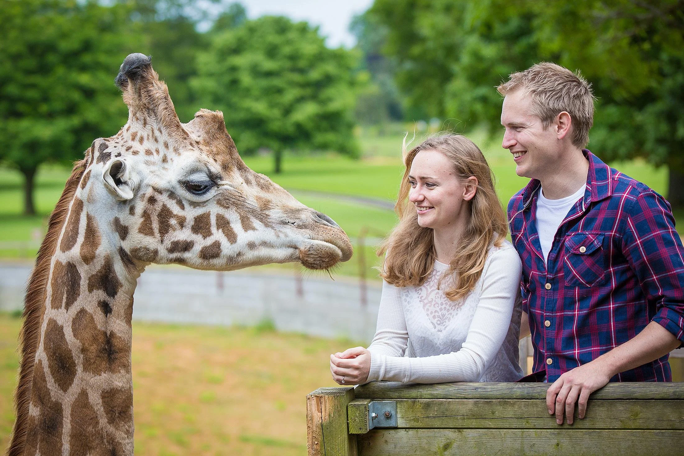2014 Cotswold Animal Park Shoot_HRF-23.jpg